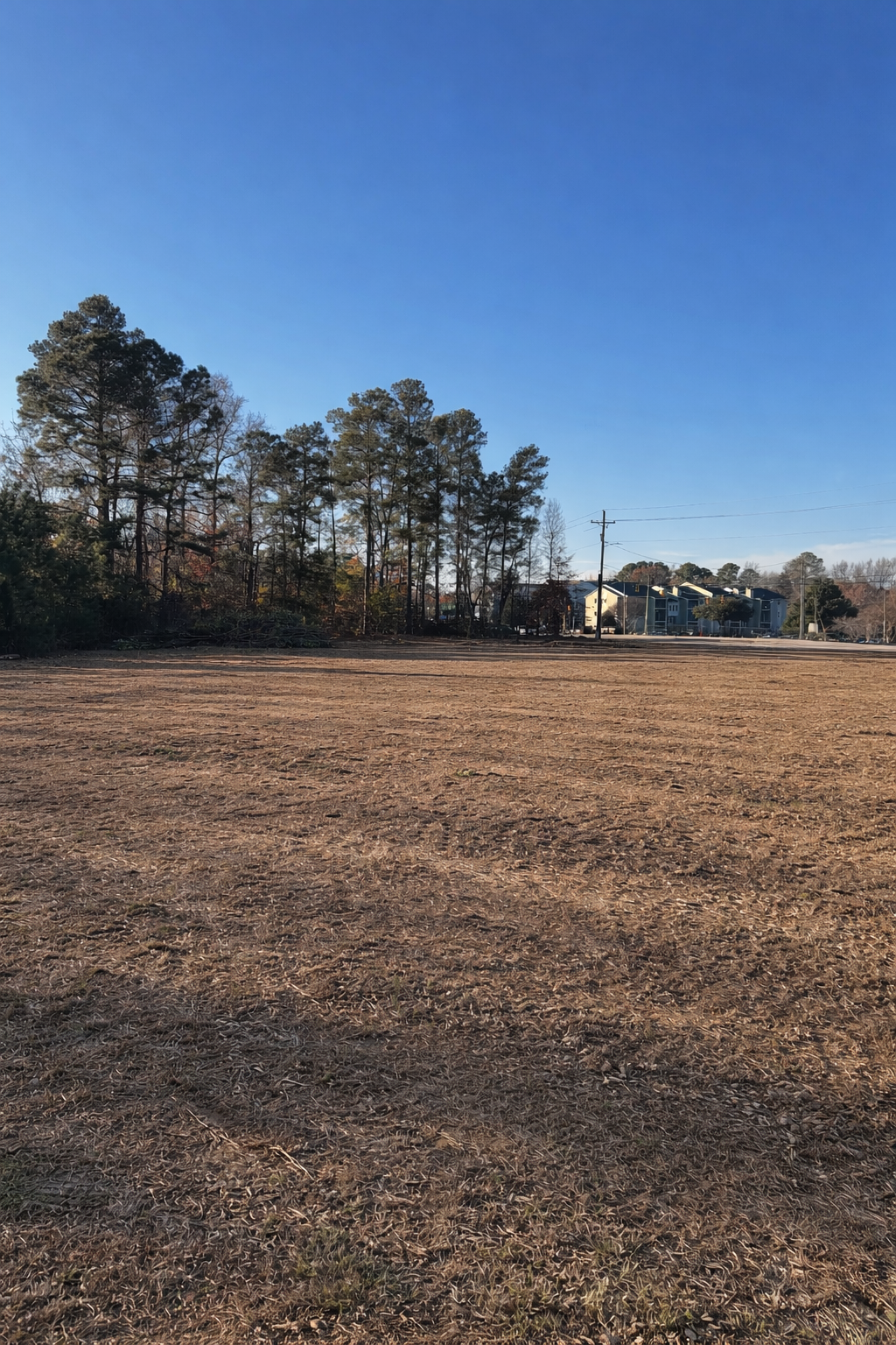 ChatGPT Image Jan 15, 2026, 11_53_03 AM.png