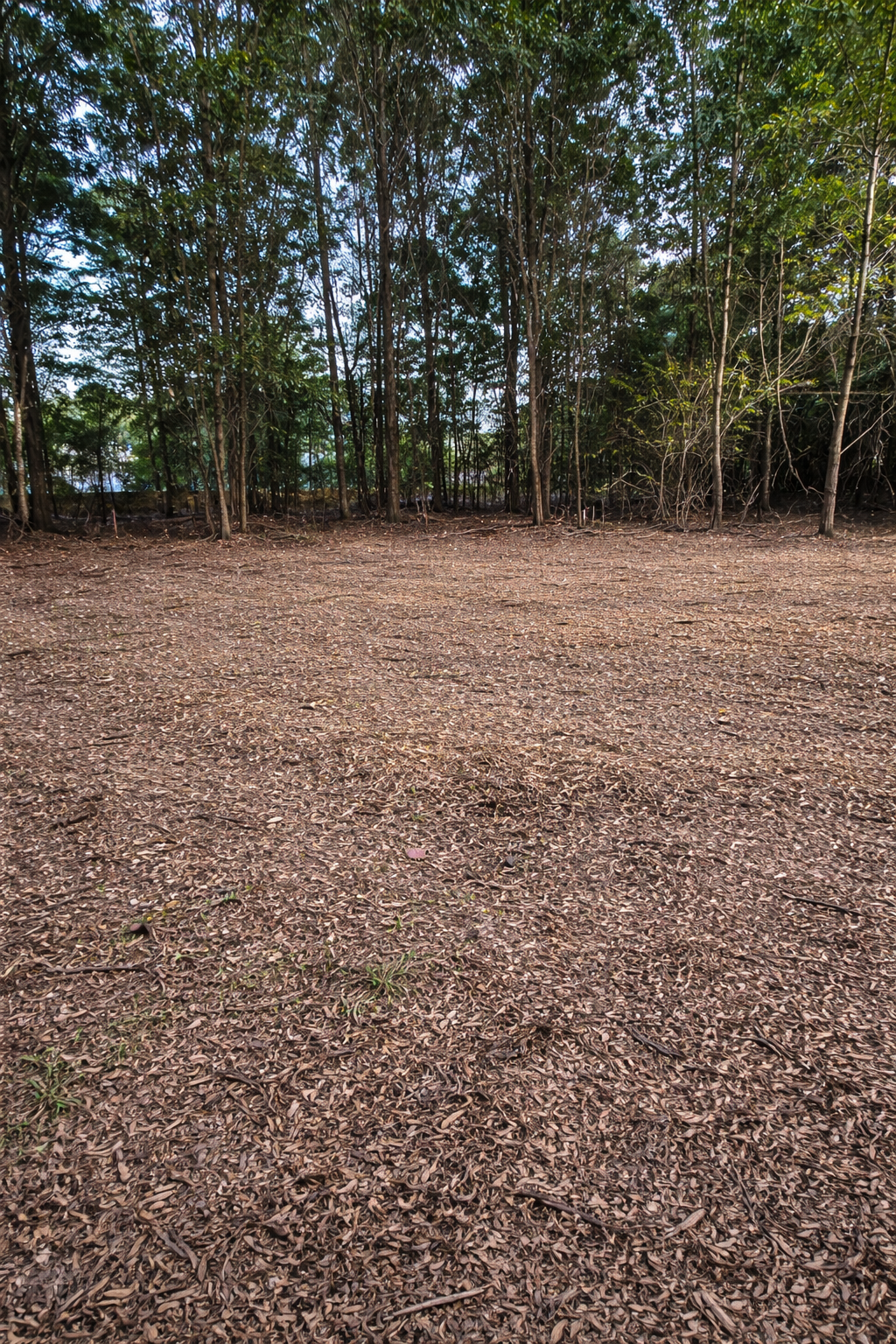 ChatGPT Image Jan 15, 2026, 12_04_18 PM.png