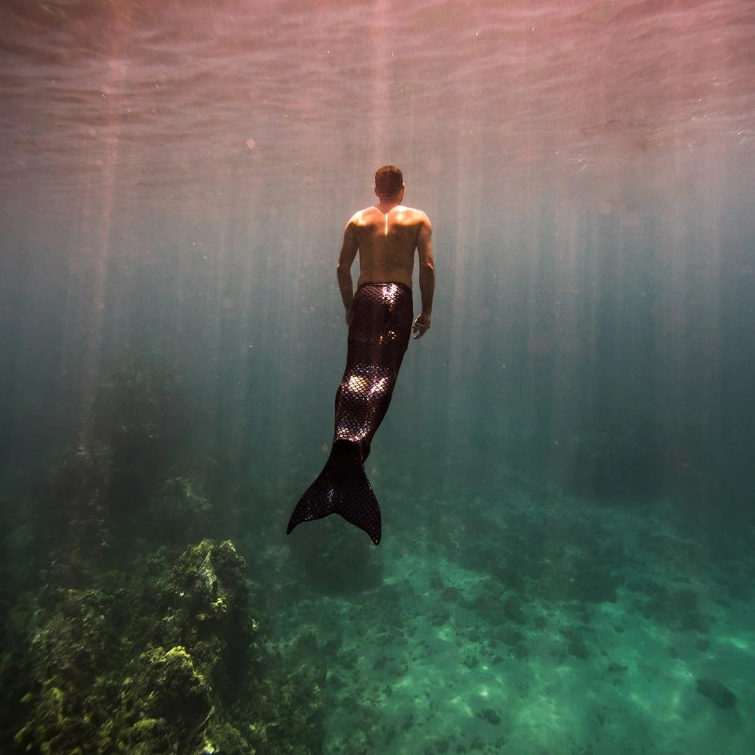 commissions 5-min.jpg