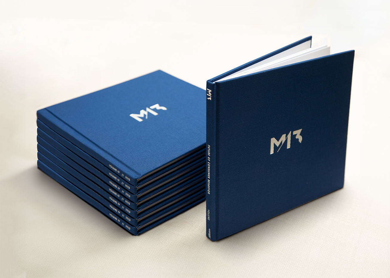 m13_portco book_photo_texture.png