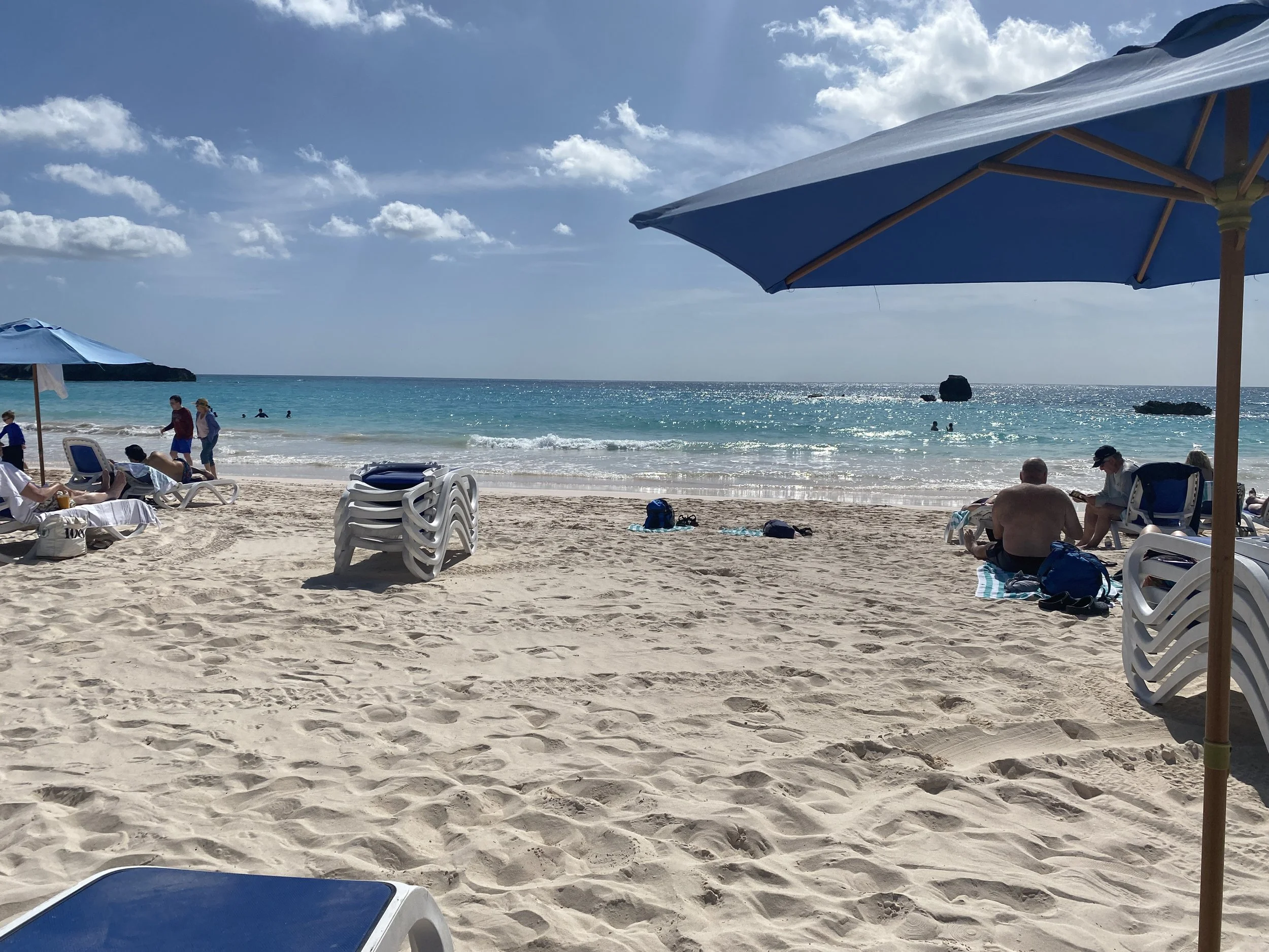 IMG_7187.jpeg
