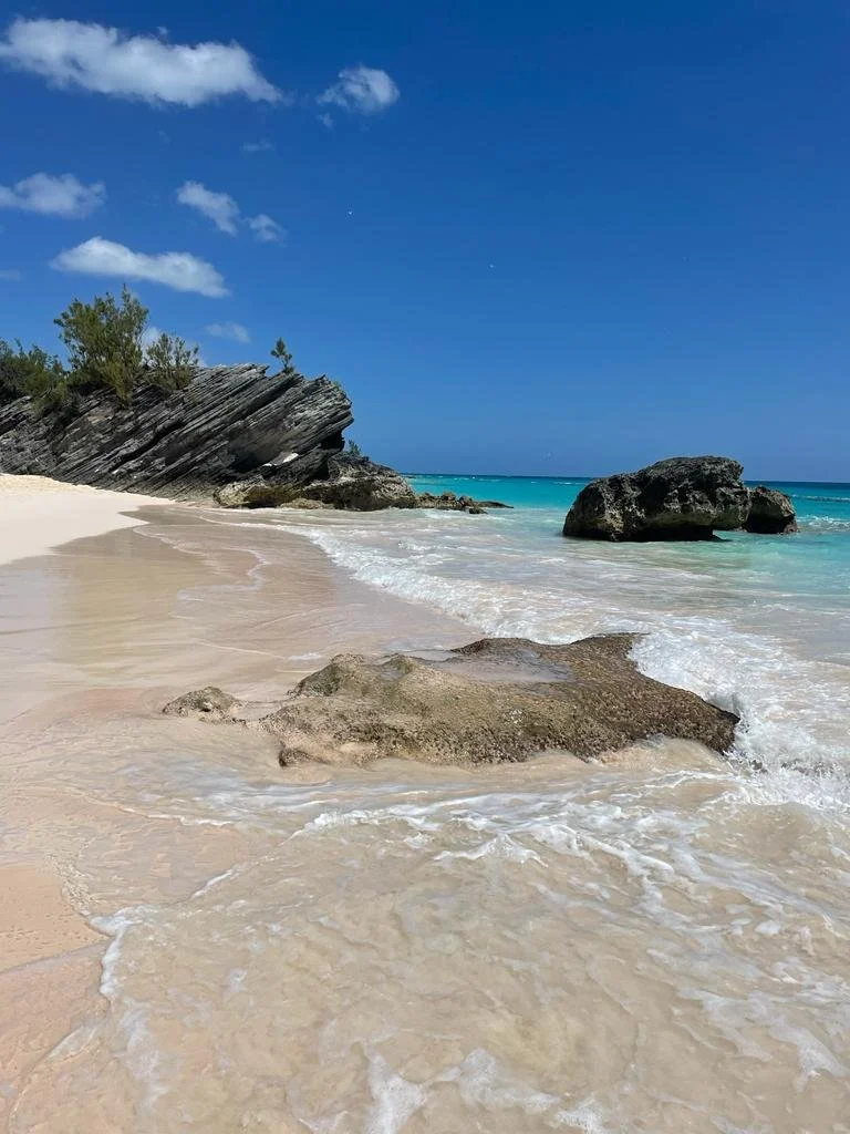 PHOTO-2023-04-03-13-11-41 2.jpg