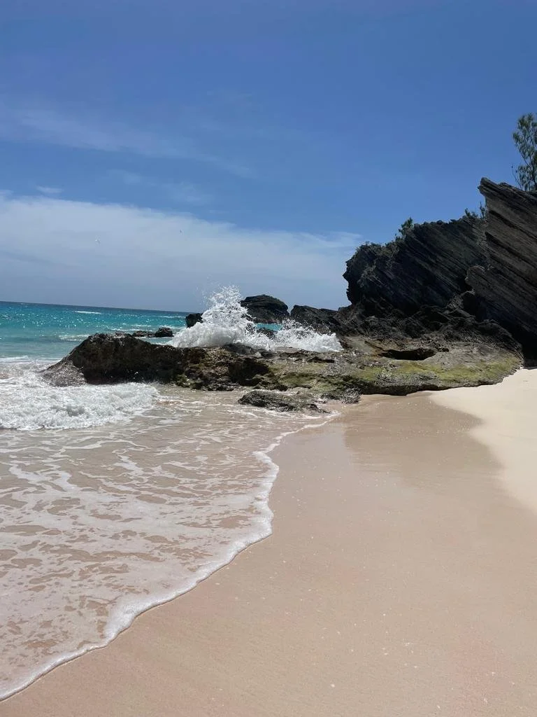 PHOTO-2023-04-03-13-11-41 4.jpg