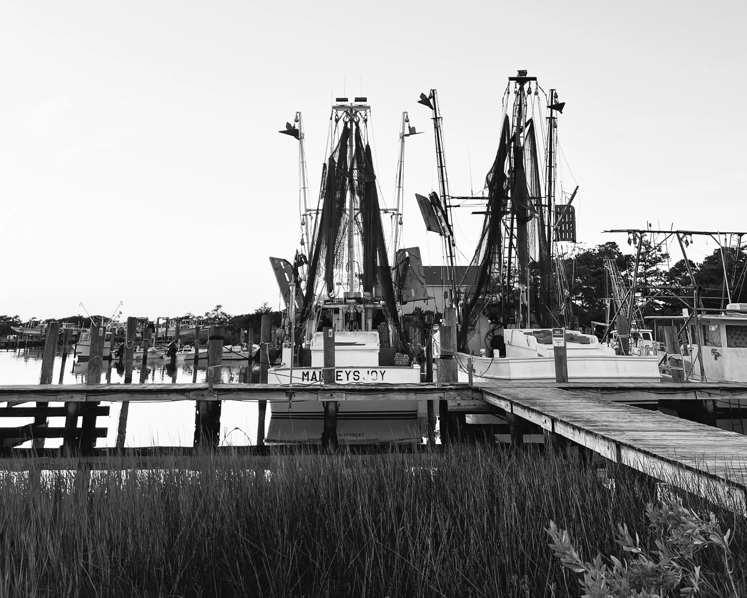 Manley's Joy-Lift Films-BTS-1.jpg