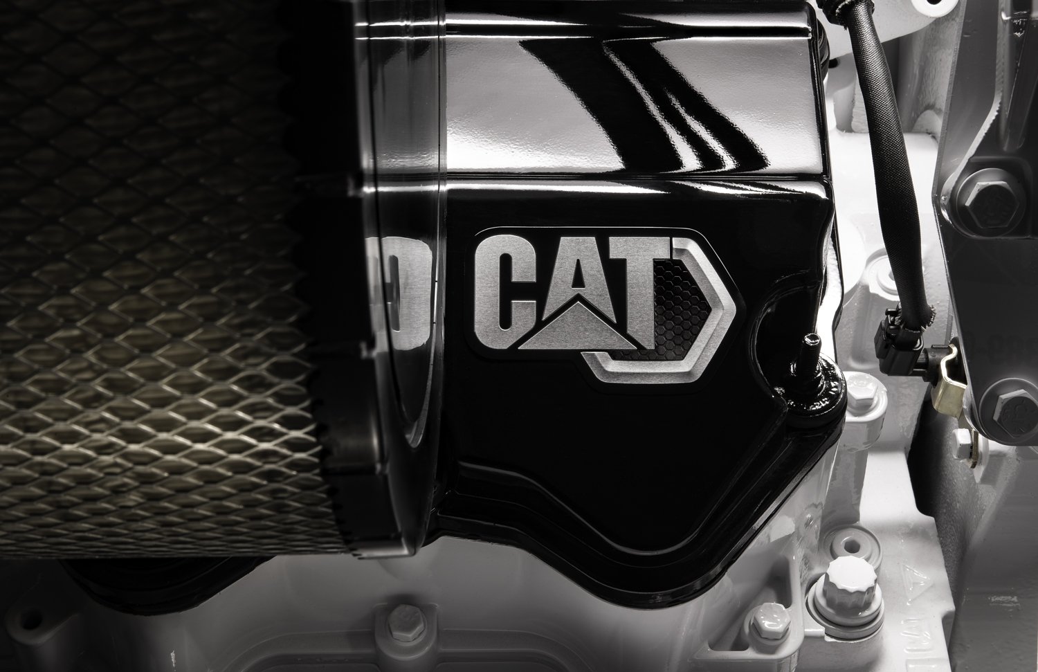 Lift Films_cat marine_raleigh video production company-4.jpg