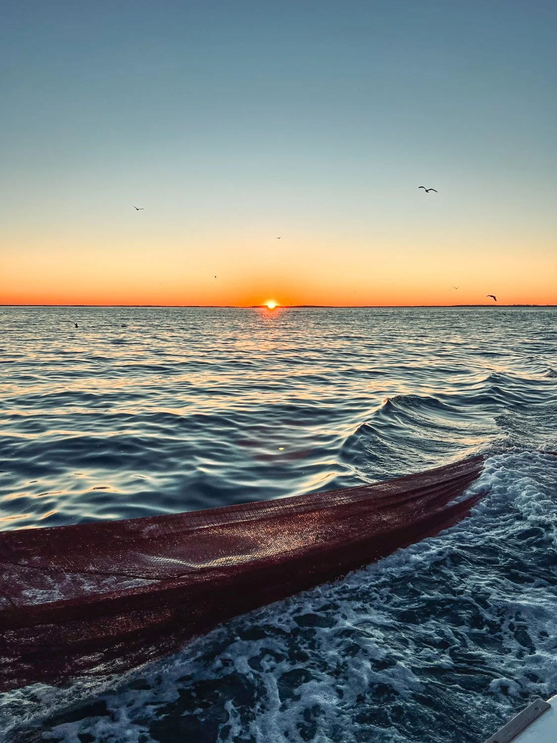 Manley's Joy-Lift Films-BTS-5.jpg