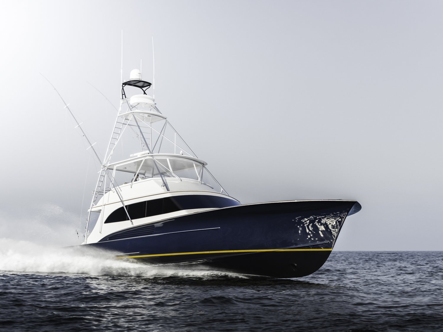 Lift Films_cat marine_raleigh video production company-9.jpg