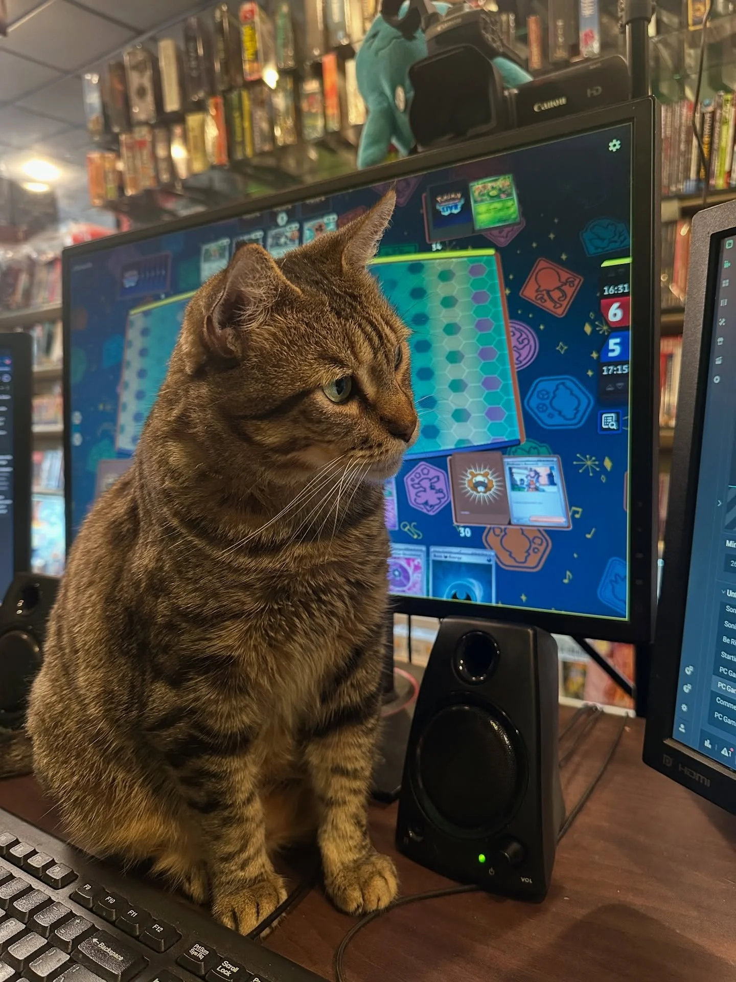 Wren made a stream appearance this morning! She definitely wasn&rsquo;t sure how to respond to chat so she did what any sane cat would- paw at the screen 😂
Join us for fun, interactive streams on Twitch! Find us online at Twitch.tv/the3rduniverse