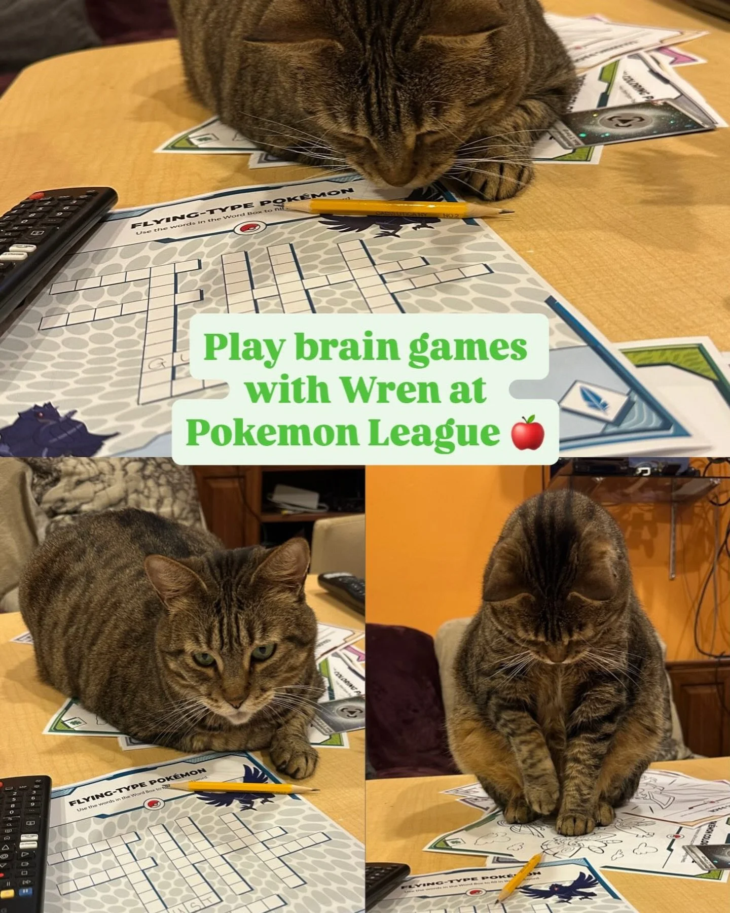 Join us for Pokemon League every Thursday at 6 and Saturday at 2 🍎 Learn to play, try your hand at coloring pages, and trade and play with your Pok&eacute; pals 😁