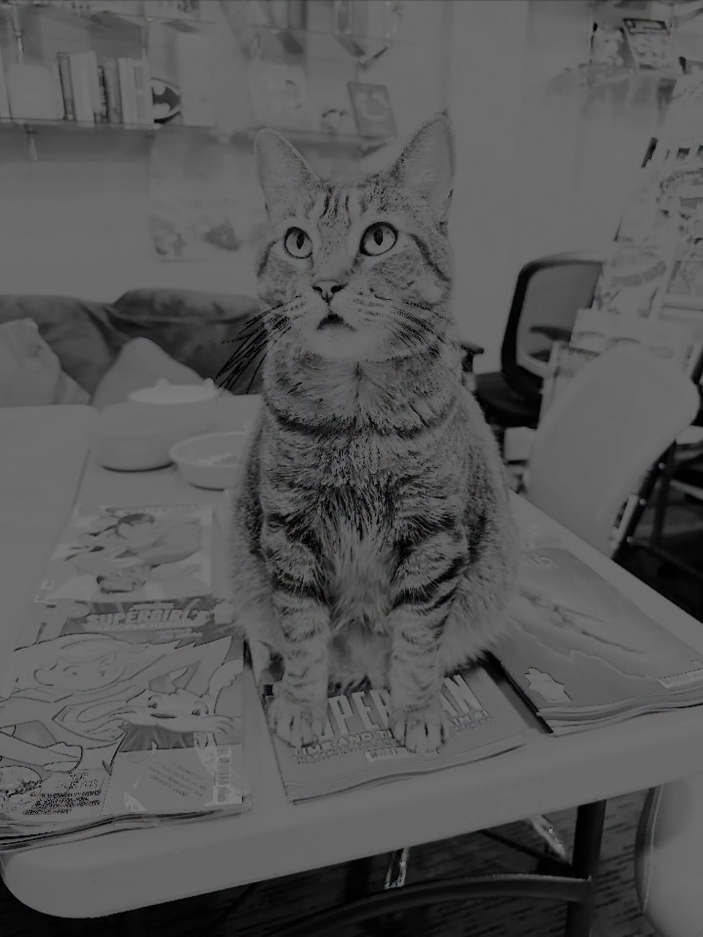 MOAR MAGIC (and in color this time, we have NO IDEA how the last post ended up in black &amp; white 🫠) 
Thank you to everyone for showing up and making this weekend our best prerelease weekend in like&hellip; a long while 🙌 A few spots remain for t