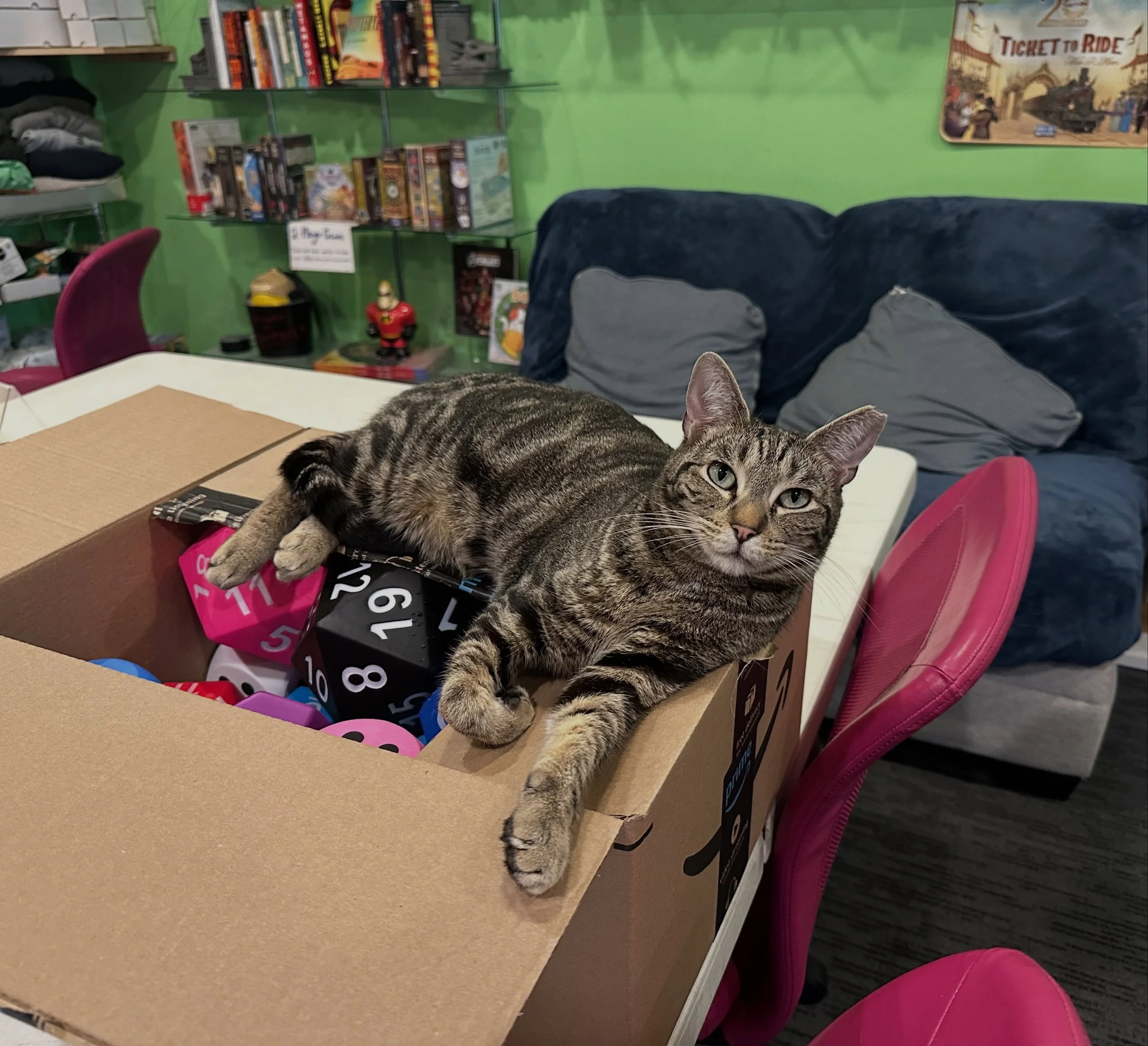 Malcolm, keeper of the dice, inspector of the boxes 🐱
Check out our array of dice big and small!