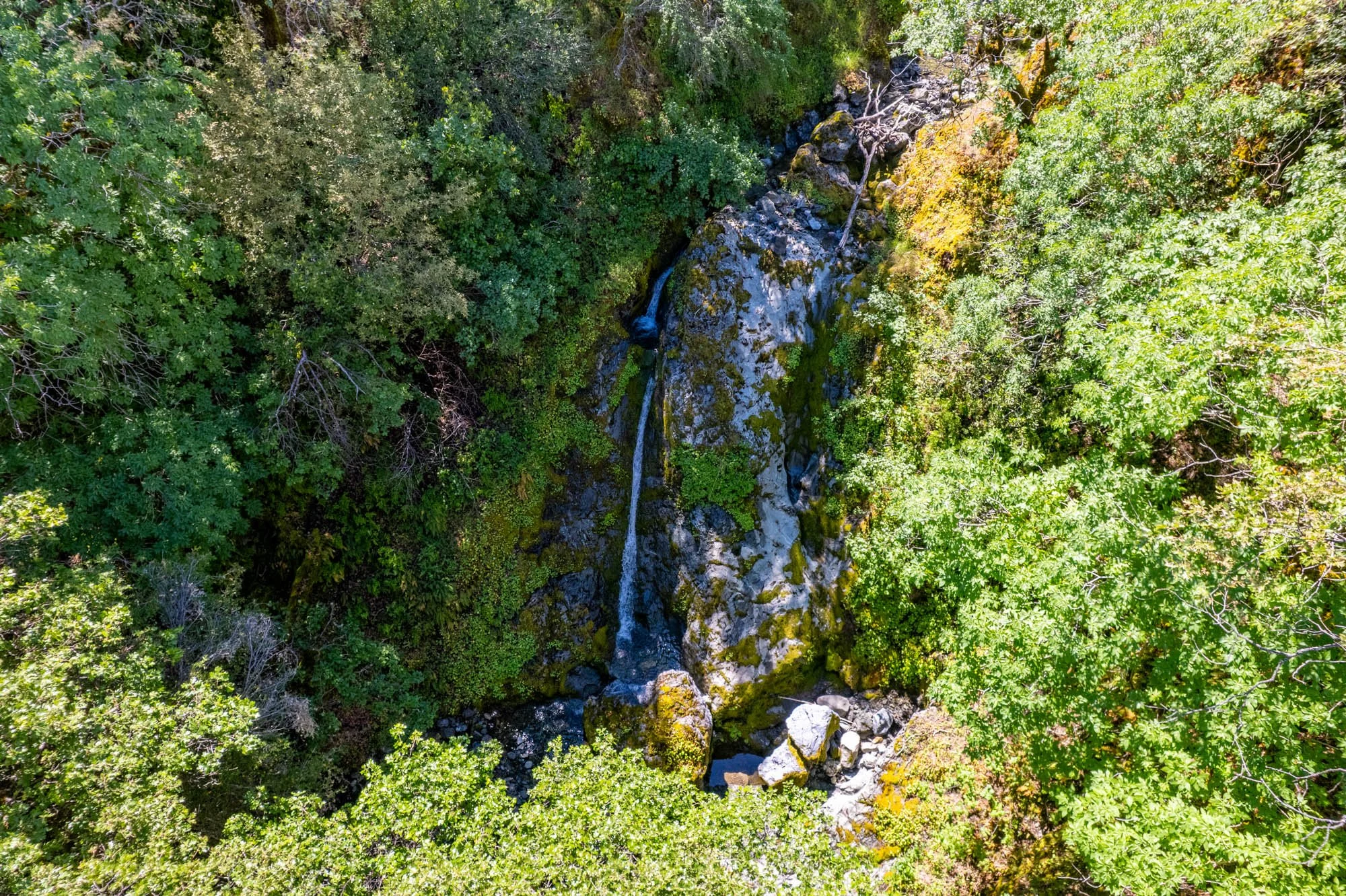 15890 Yorkville Ranch Rd-153.jpg