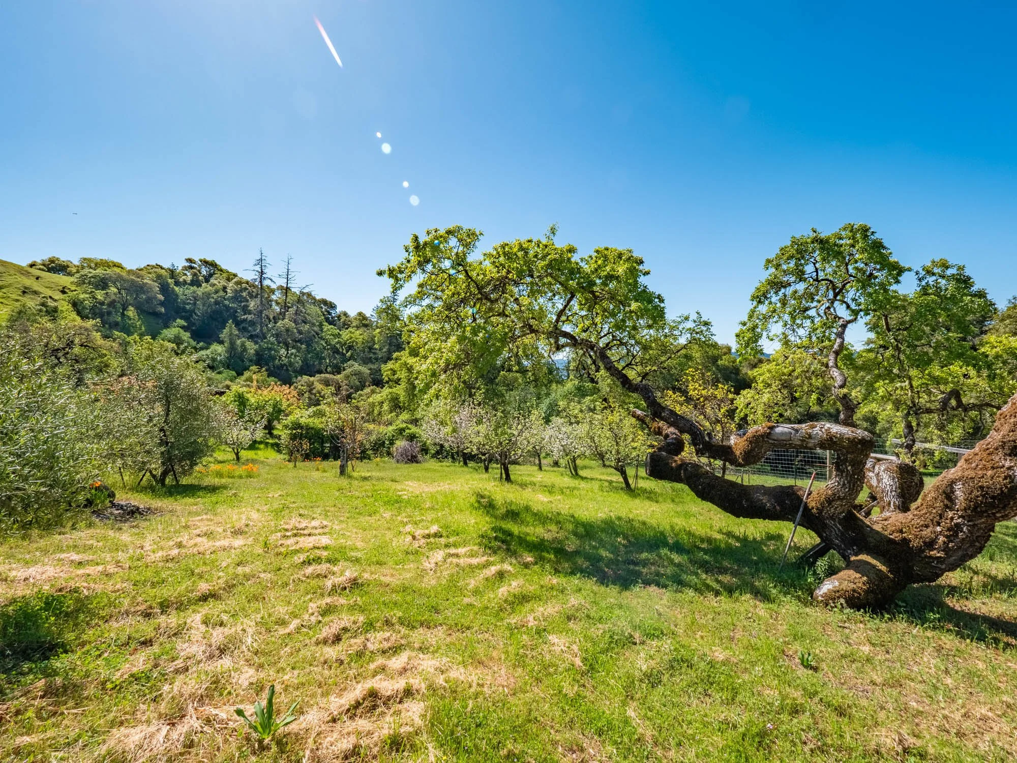 16101 Lost Creek Rd-172.jpg