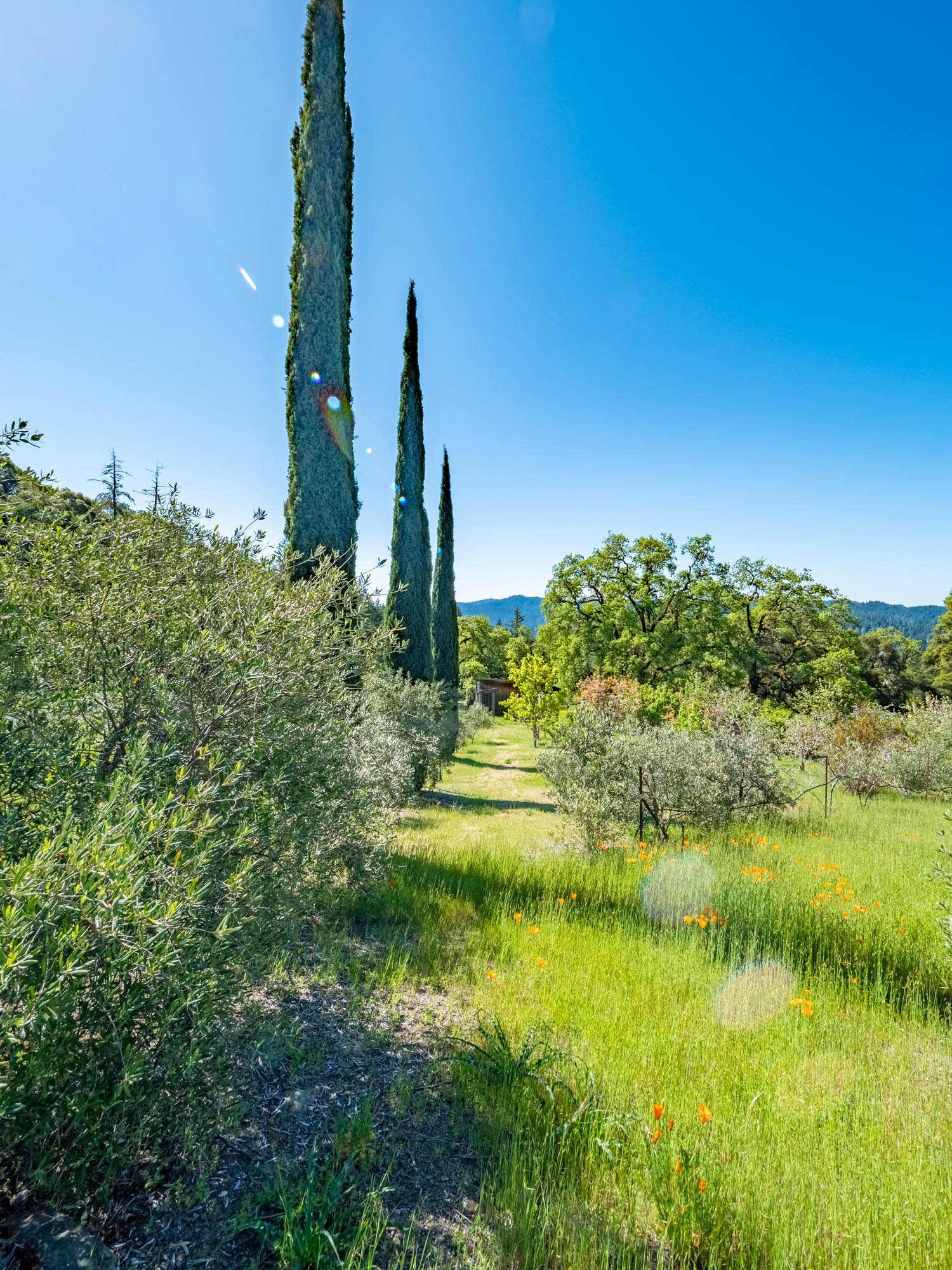 16101 Lost Creek Rd-161.jpg