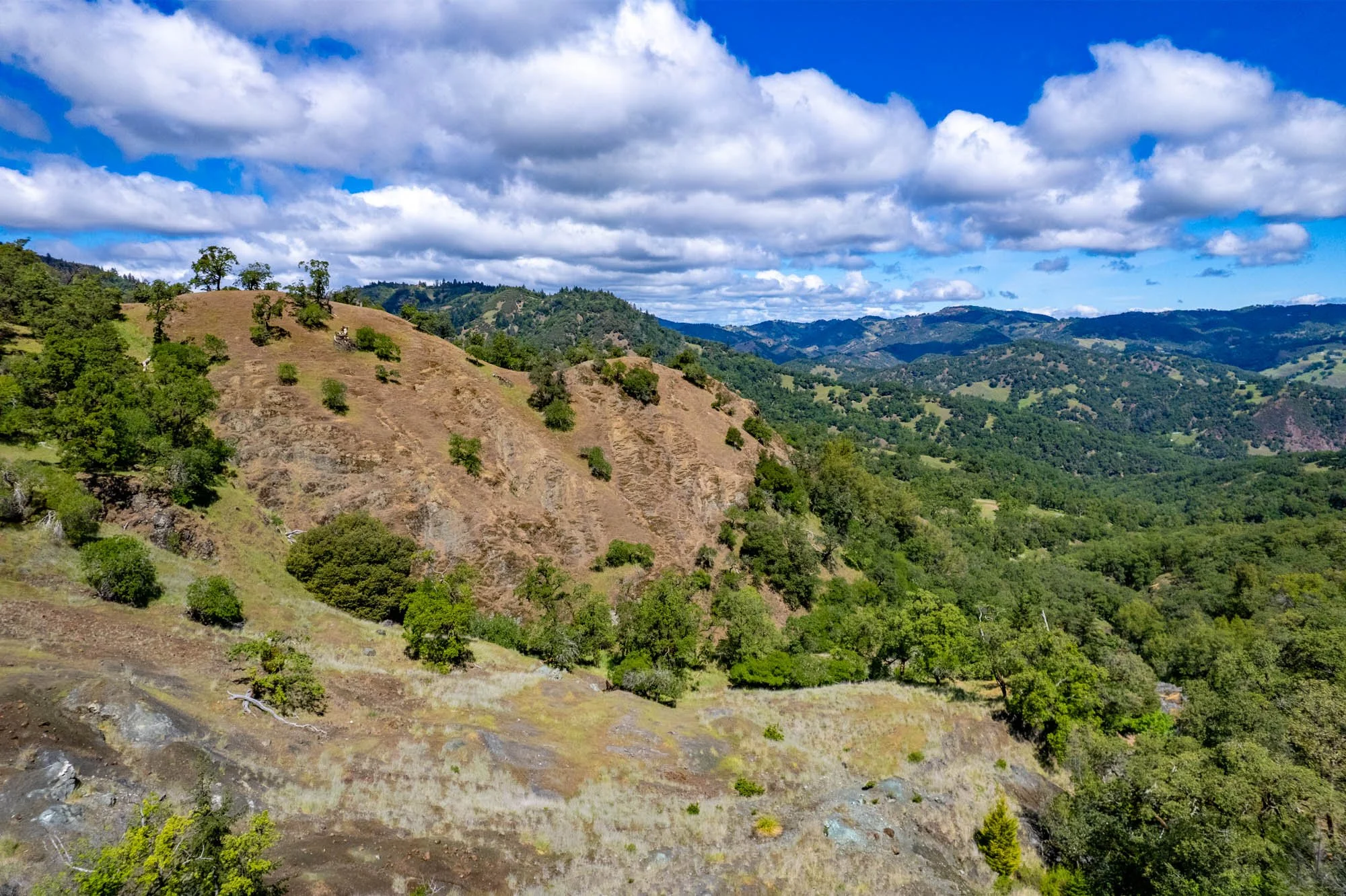 15890 Yorkville Ranch Rd-156.jpg