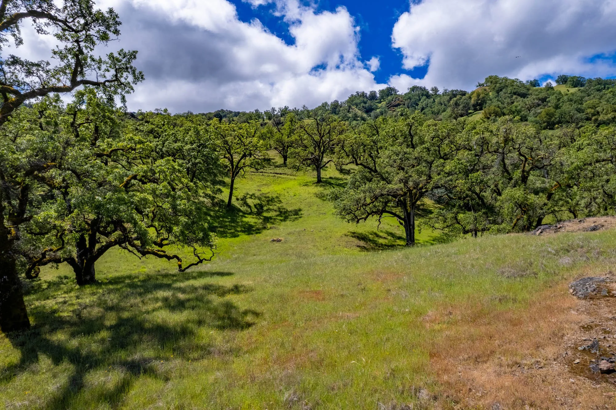 15890 Yorkville Ranch Rd-135.jpg