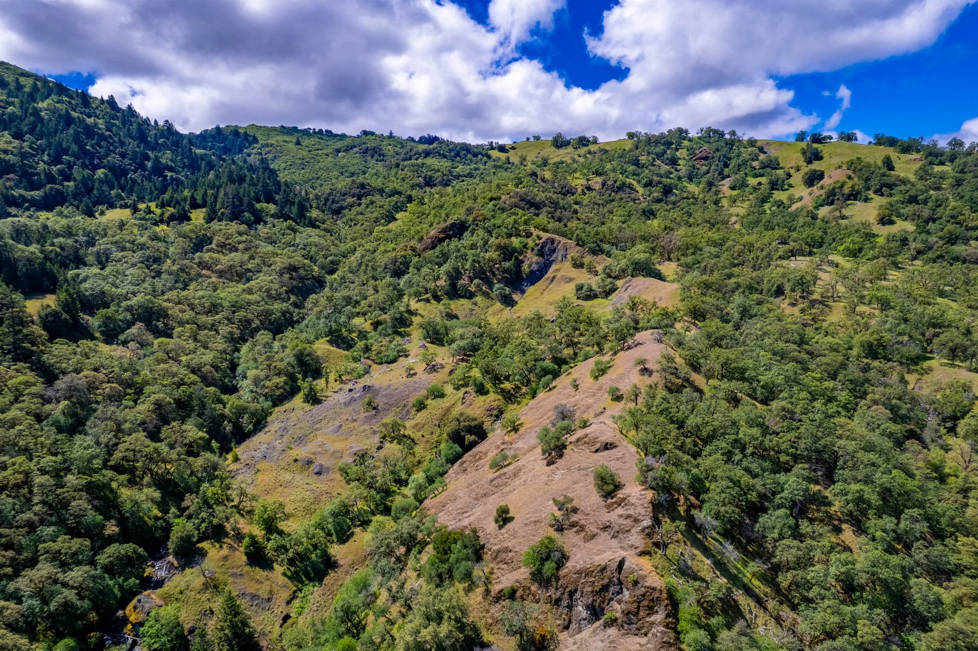 15890 Yorkville Ranch Rd-140.jpg