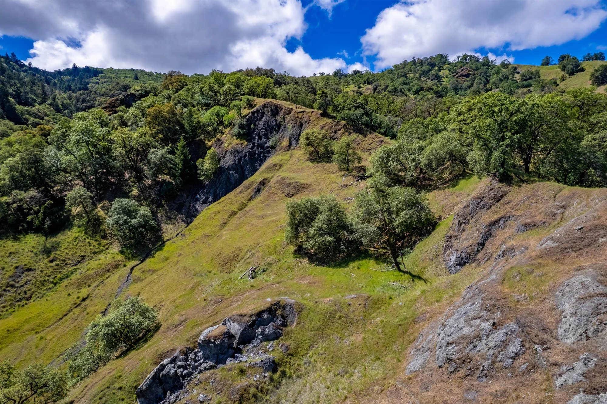 15890 Yorkville Ranch Rd-146.jpg