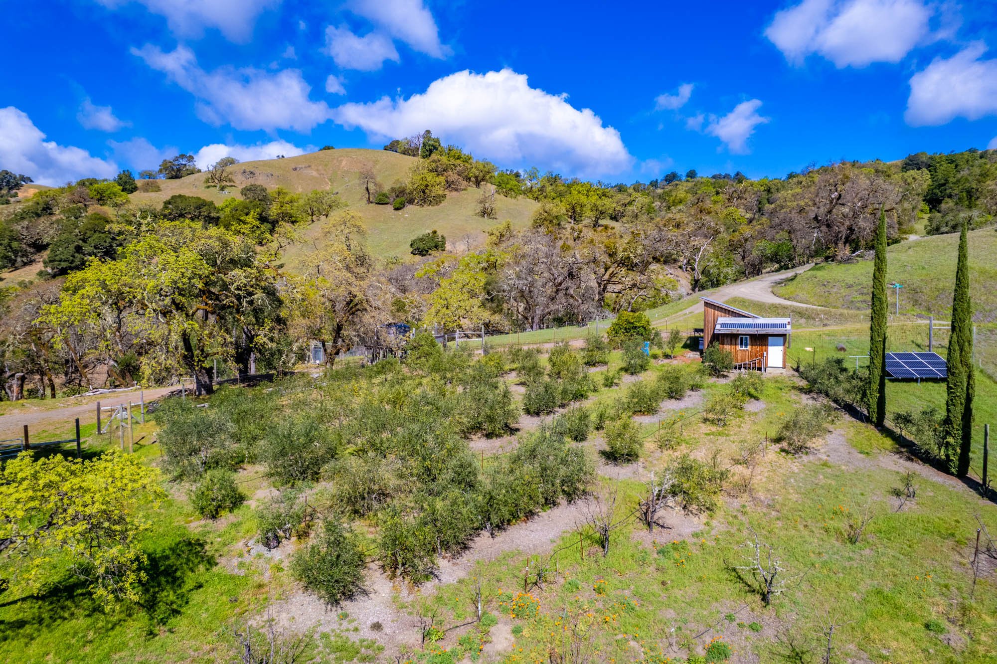 16101 Lost Creek Rd-158.jpg