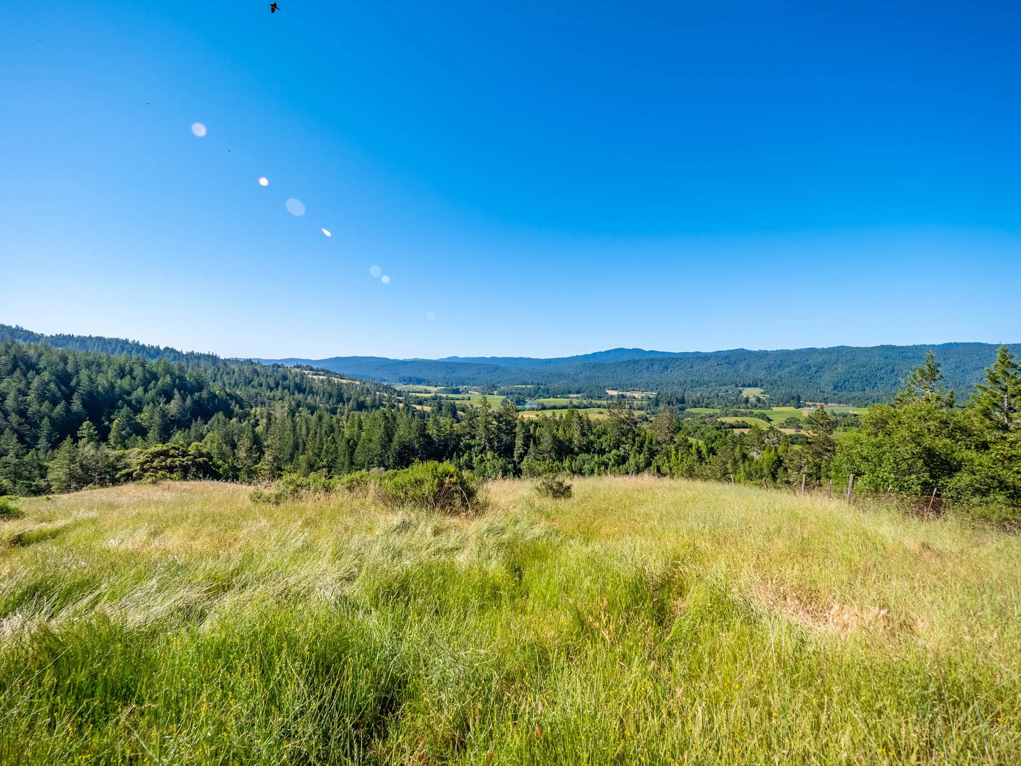 6200 Lazy Springs Rd-125.jpg