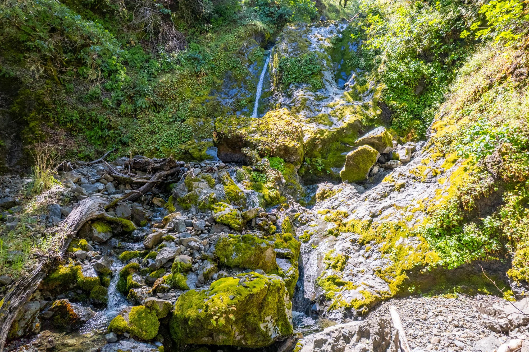 15890 Yorkville Ranch Rd-154.jpg