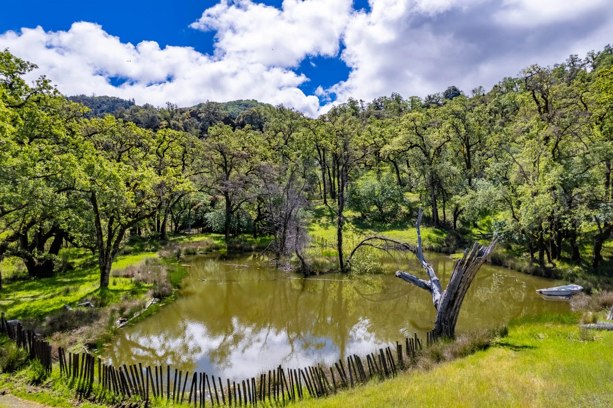 15890 Yorkville Ranch Rd-126.jpg