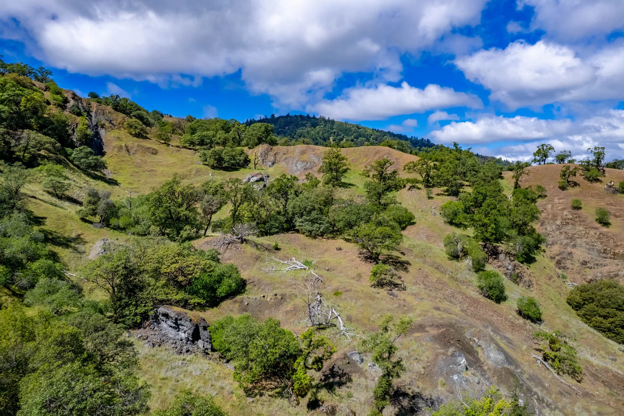 15890 Yorkville Ranch Rd-155.jpg