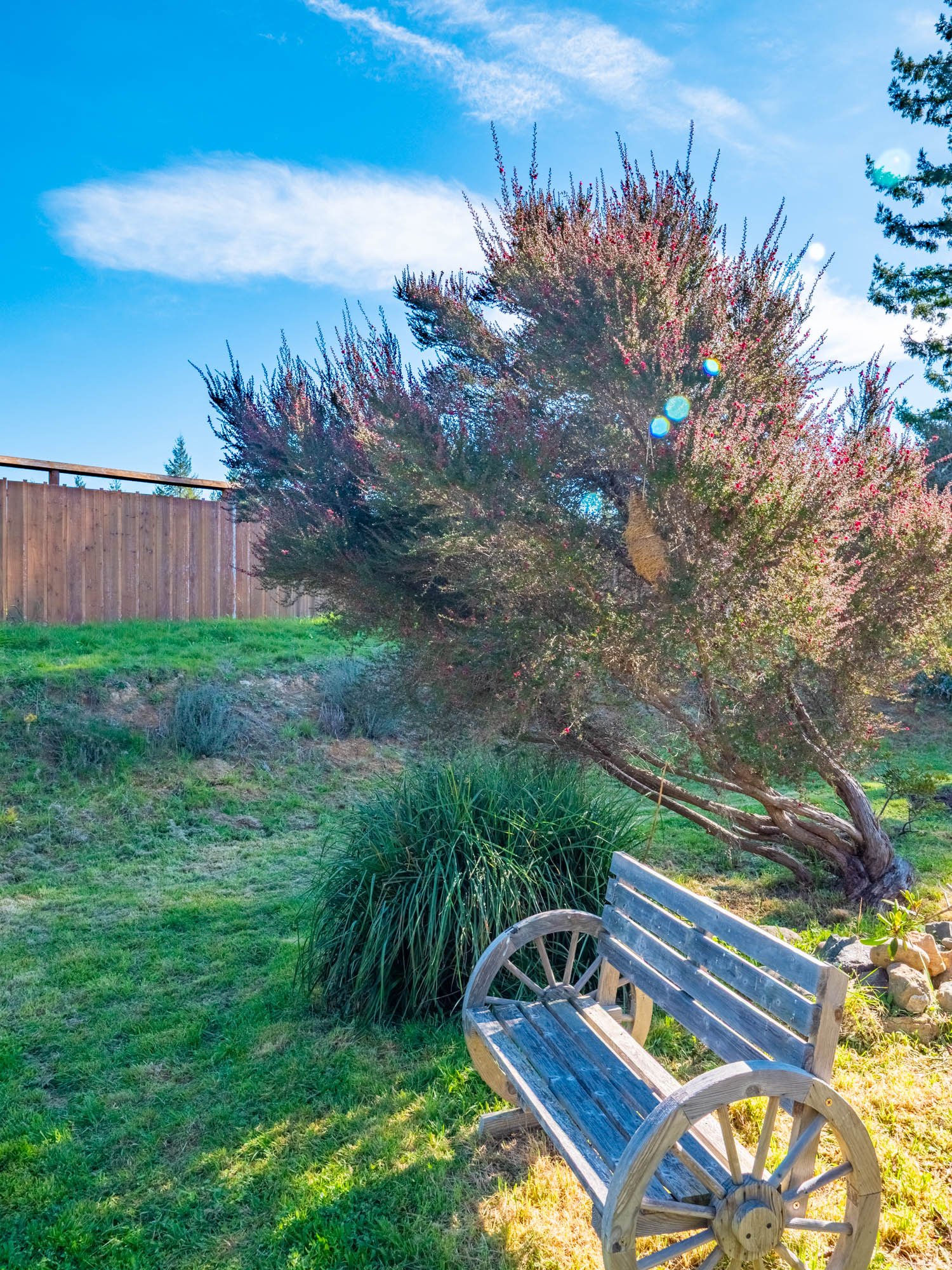 26300 Albion Ridge Rd-140.jpg