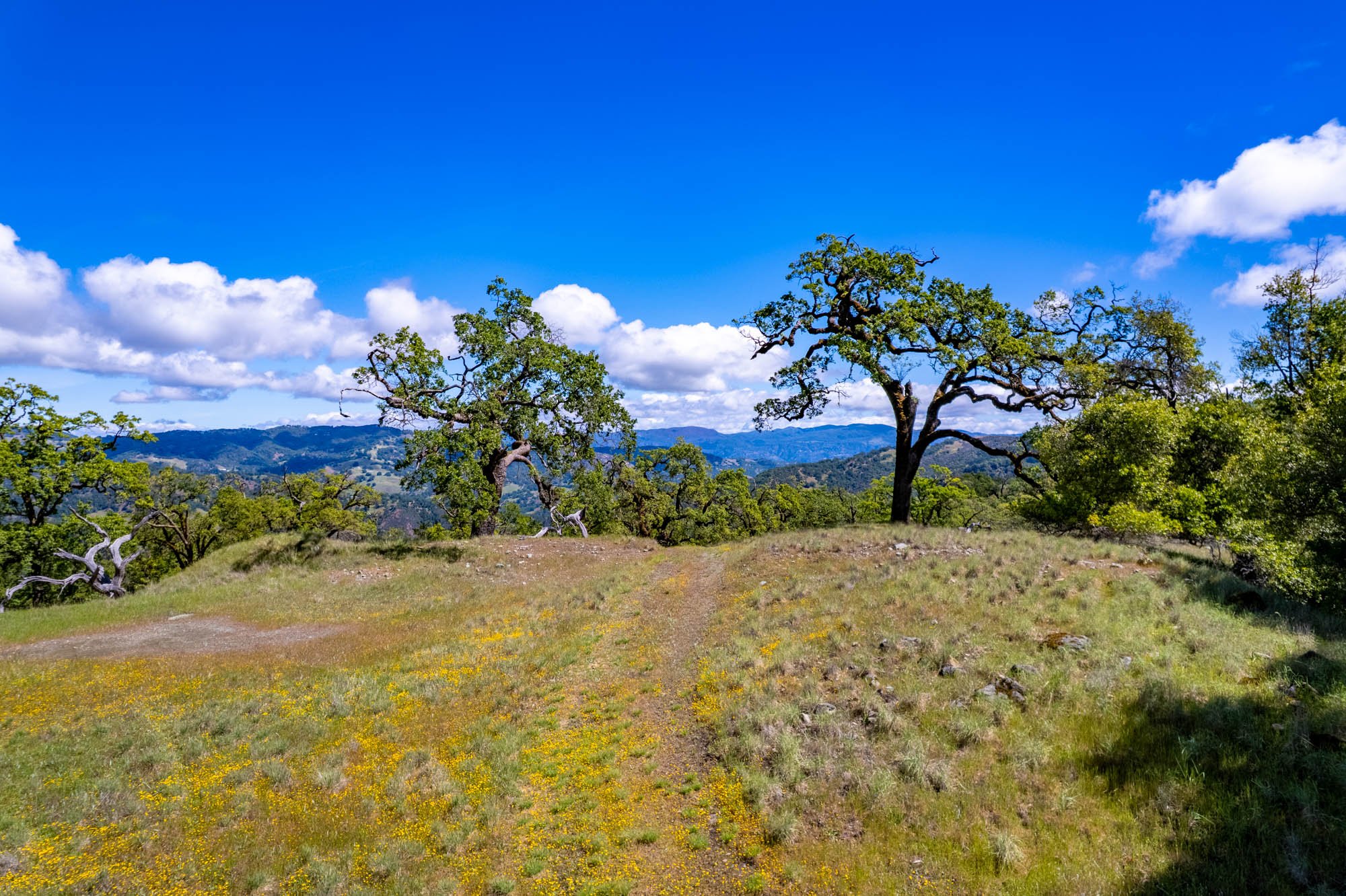 15890 Yorkville Ranch Rd-130.jpg