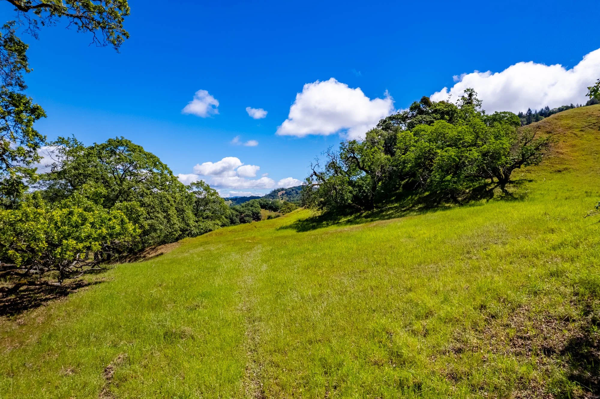 15890 Yorkville Ranch Rd-149.jpg