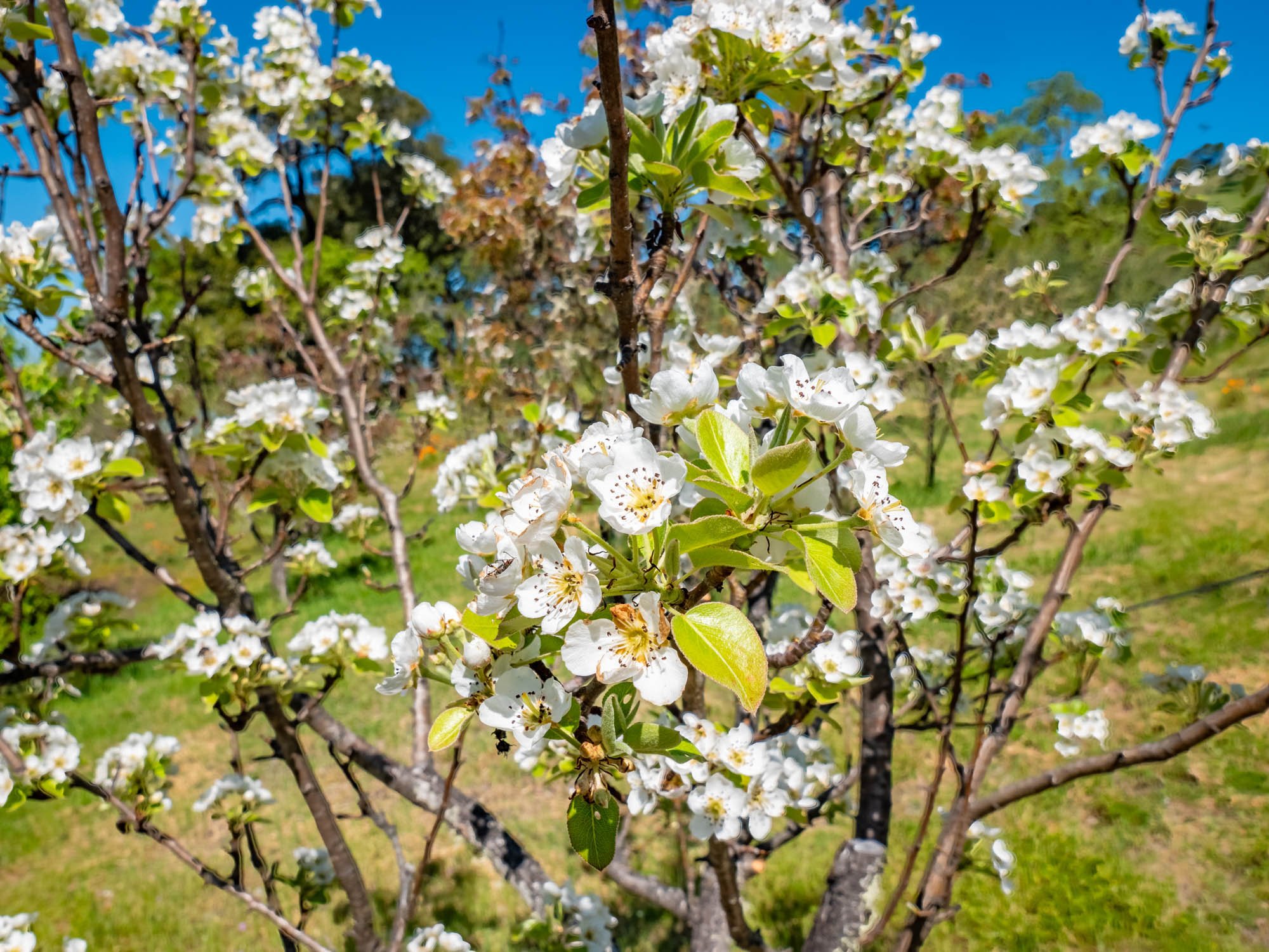 16101 Lost Creek Rd-164.jpg