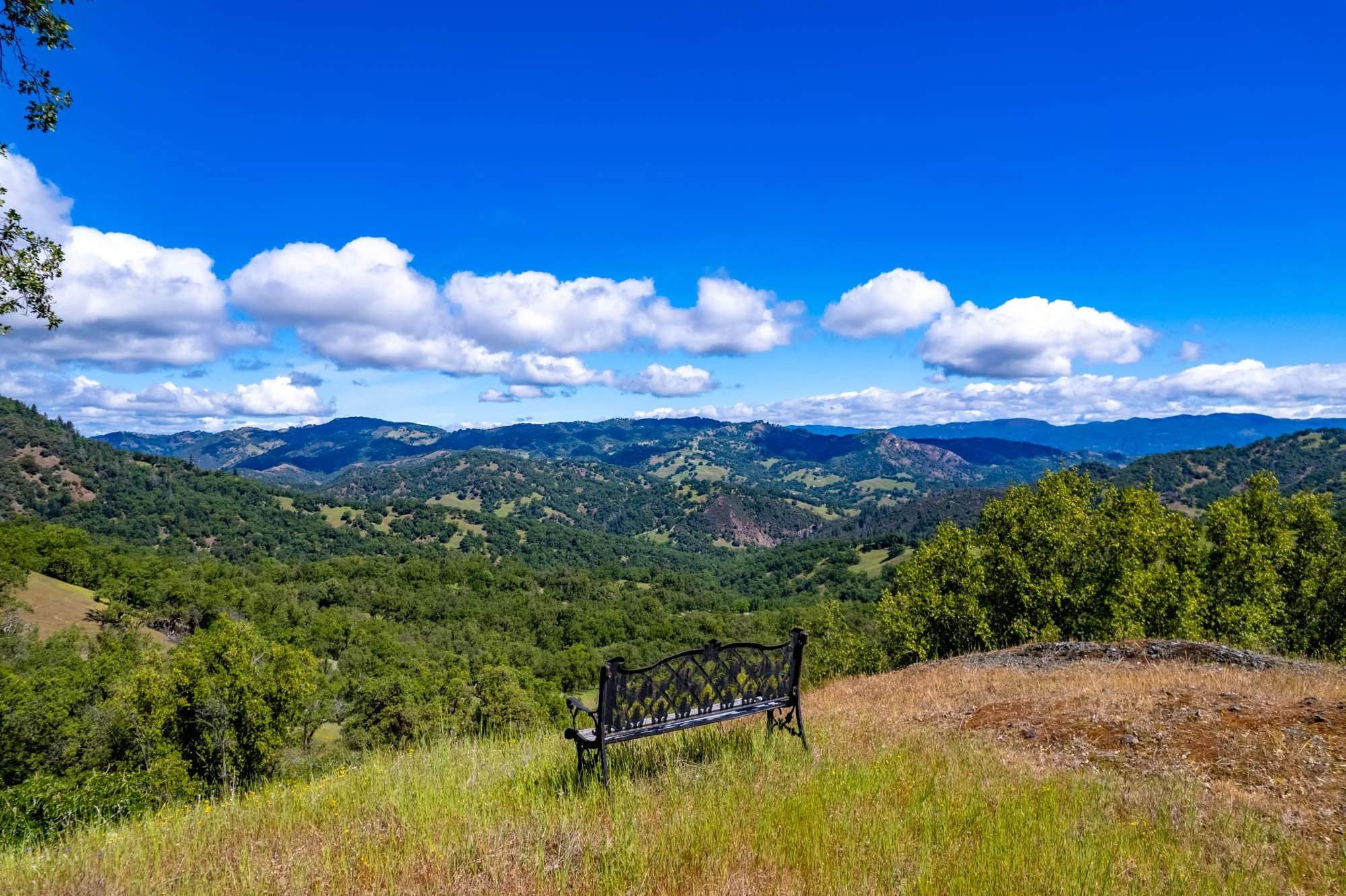 15890 Yorkville Ranch Rd-133.jpg