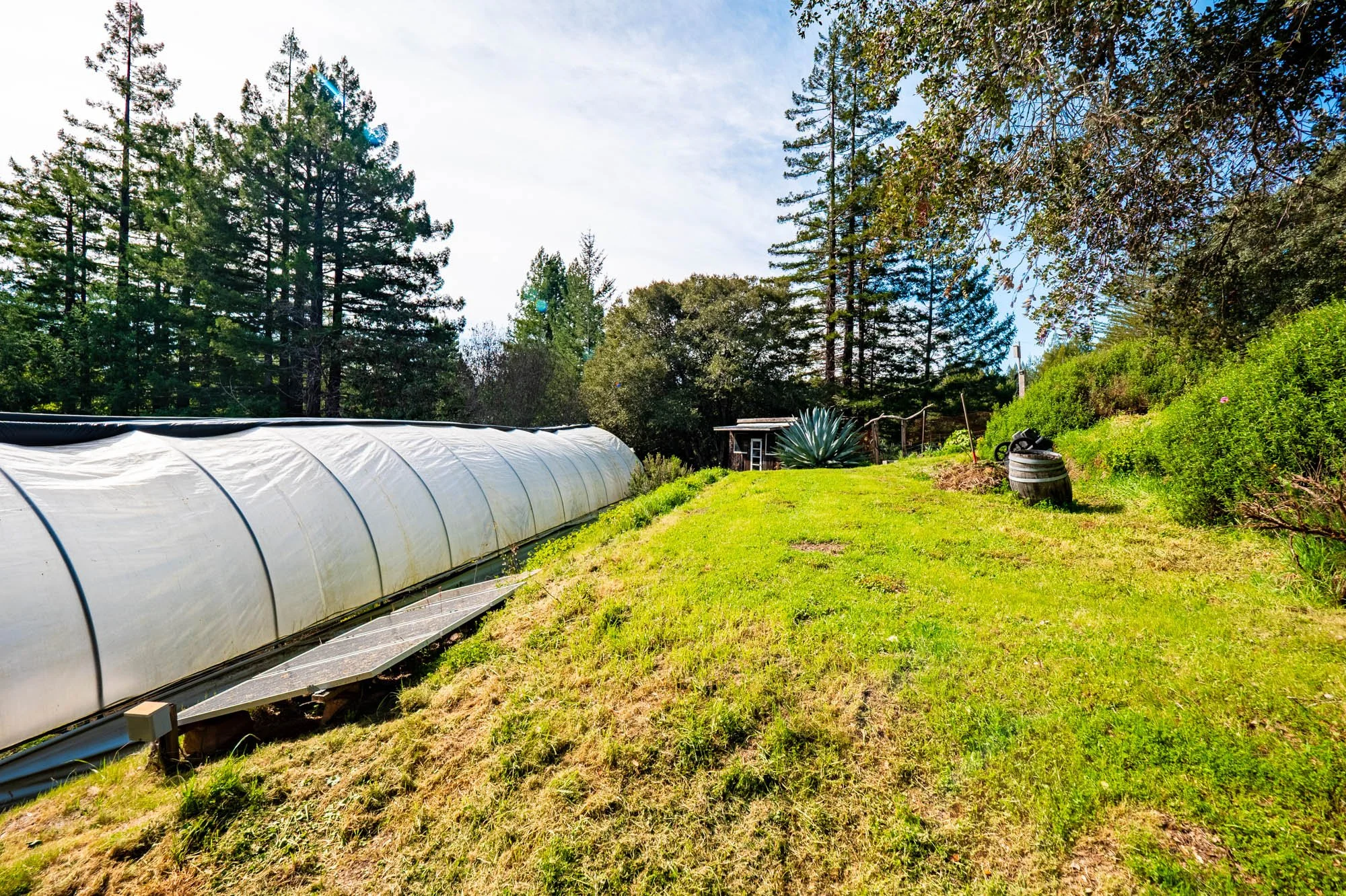 1910 Charoliase Dr-150.jpg