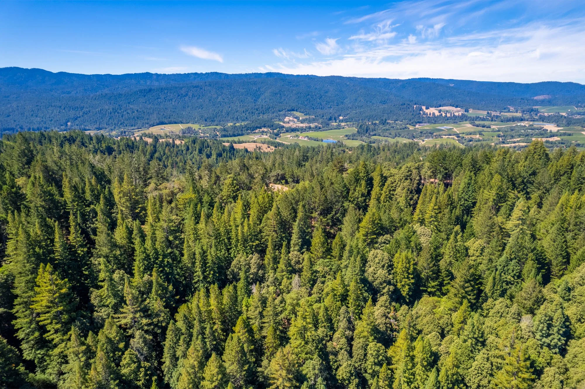11901 Clow Ridge Rd-140.jpg