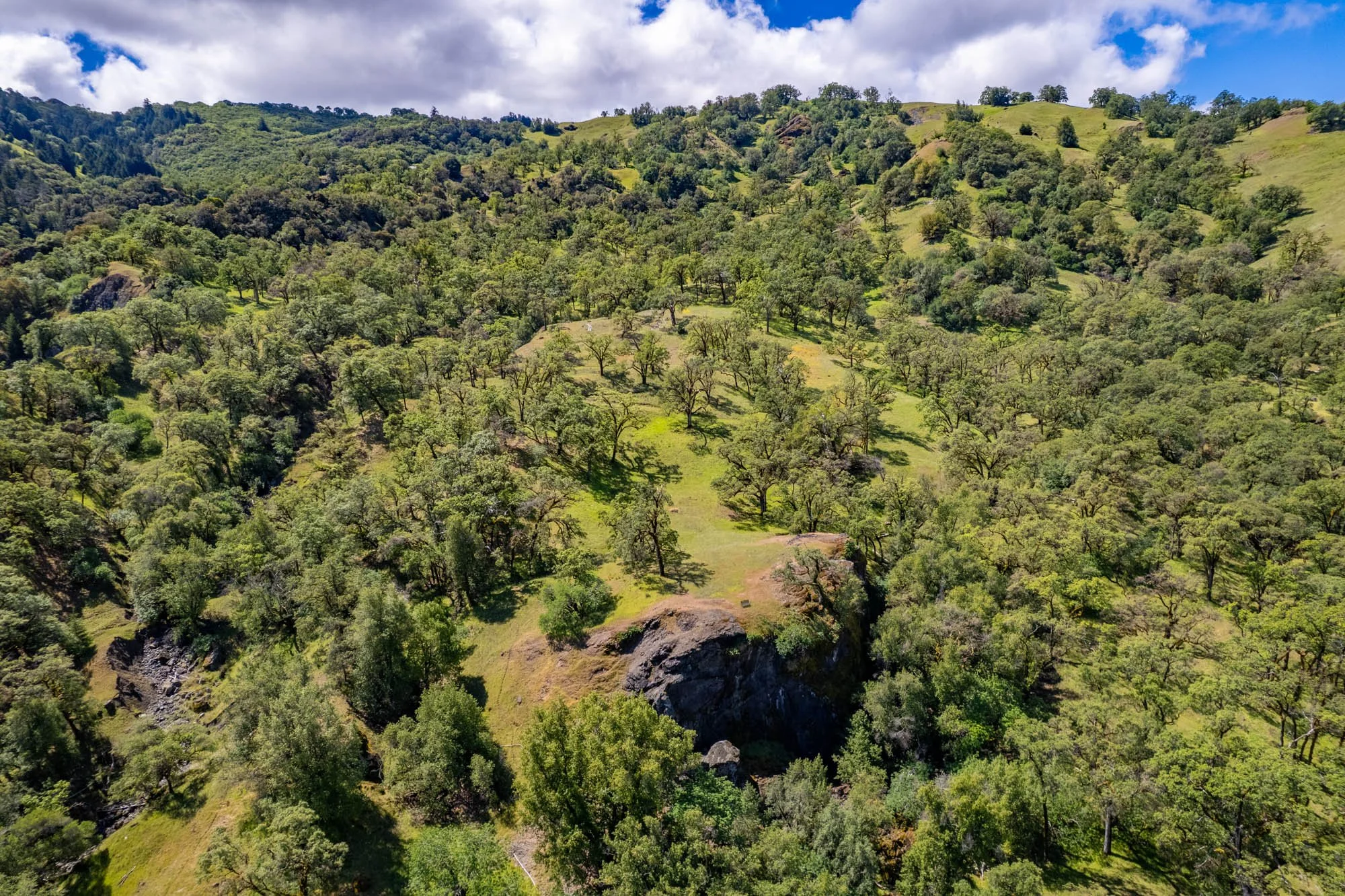 15890 Yorkville Ranch Rd-138.jpg