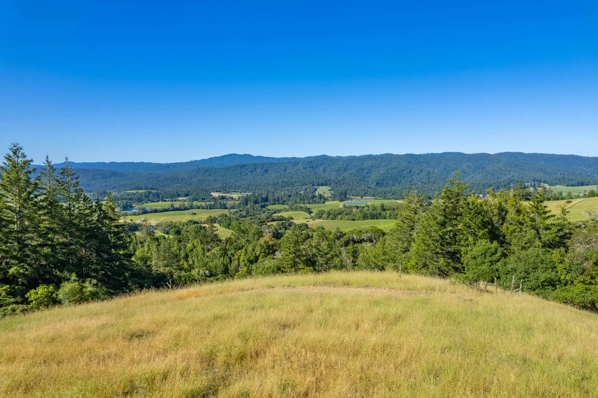 6200 Lazy Springs Rd-122.jpg