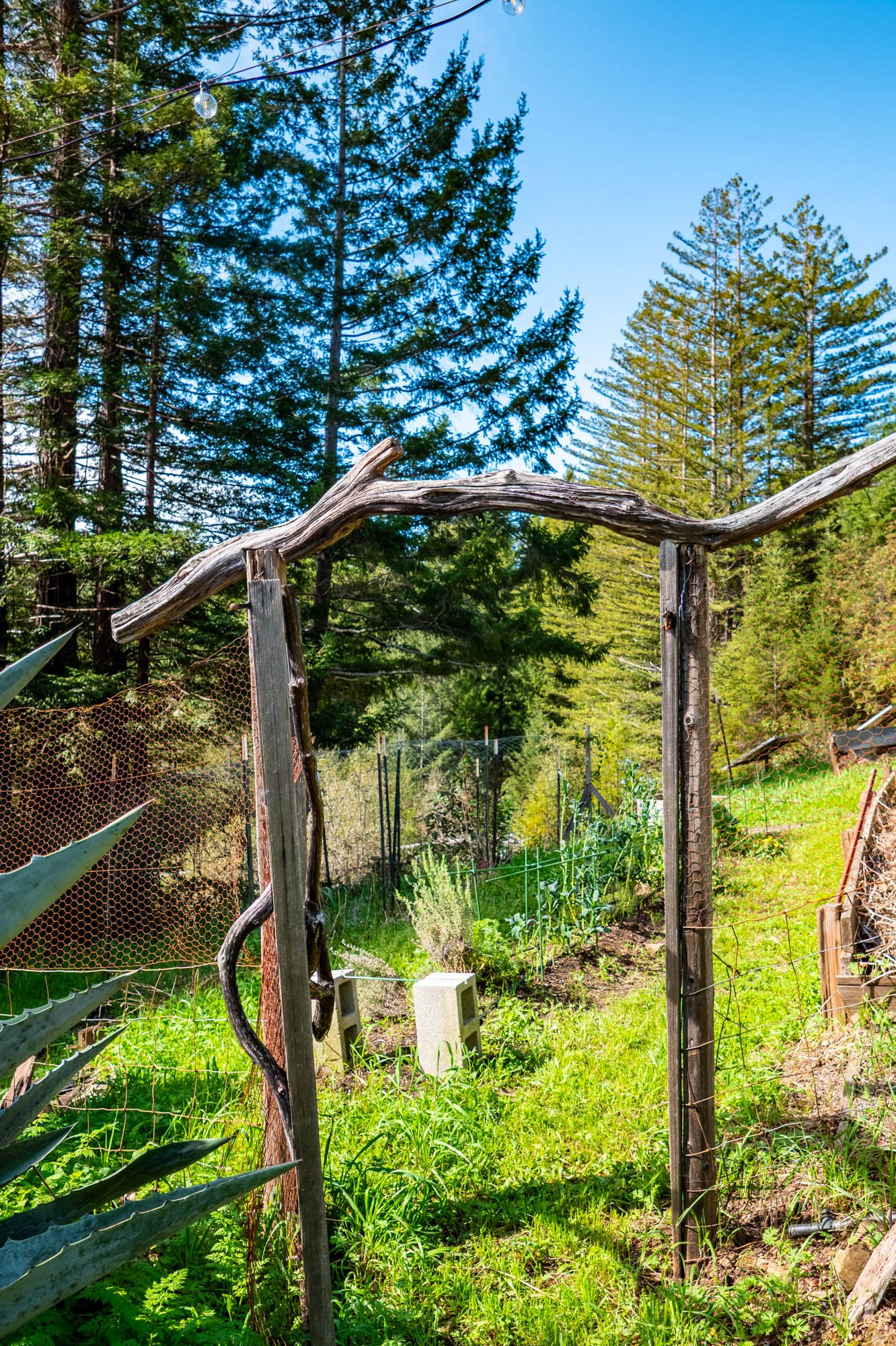 1910 Charoliase Dr-153.jpg