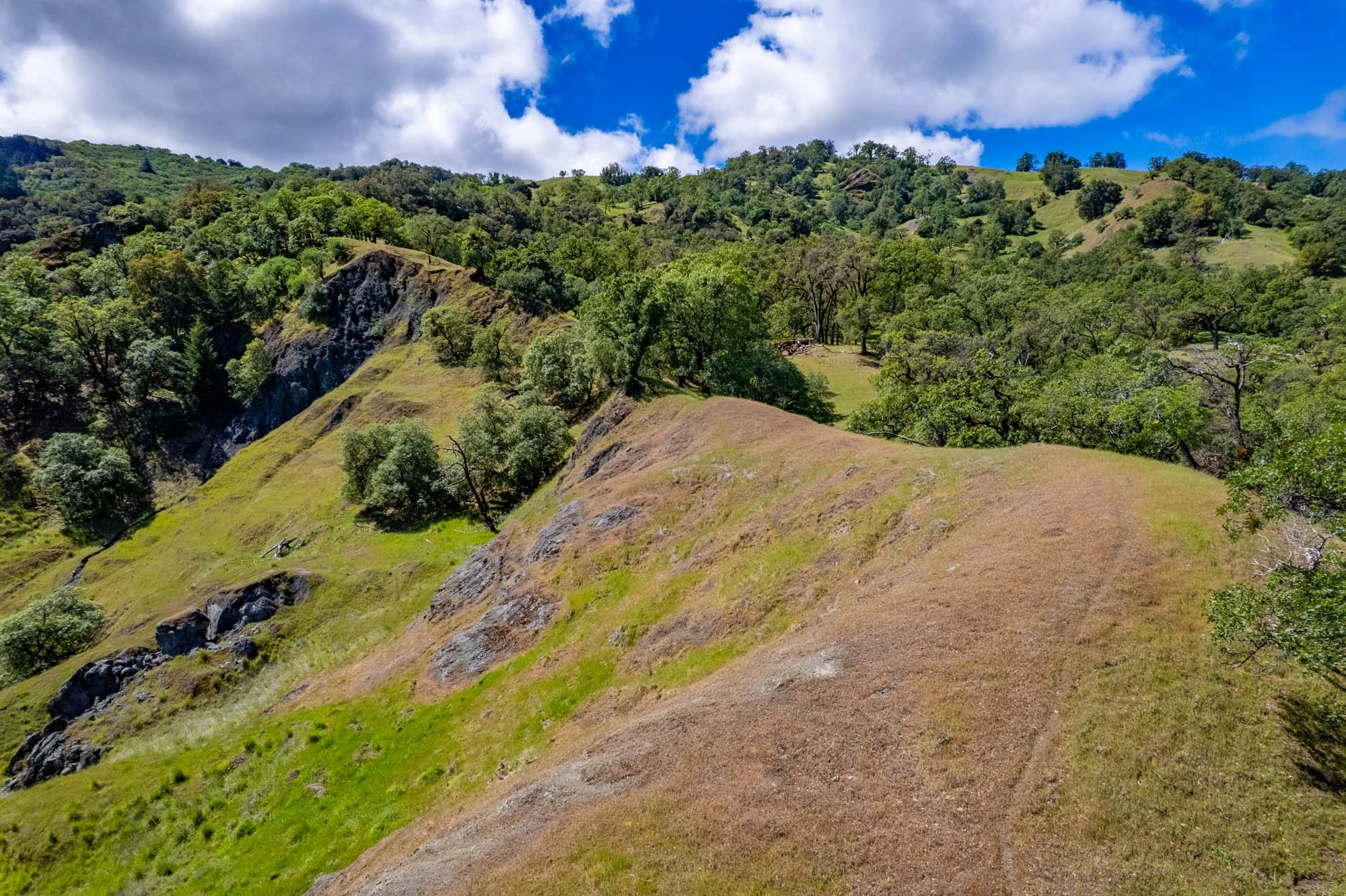 15890 Yorkville Ranch Rd-145.jpg