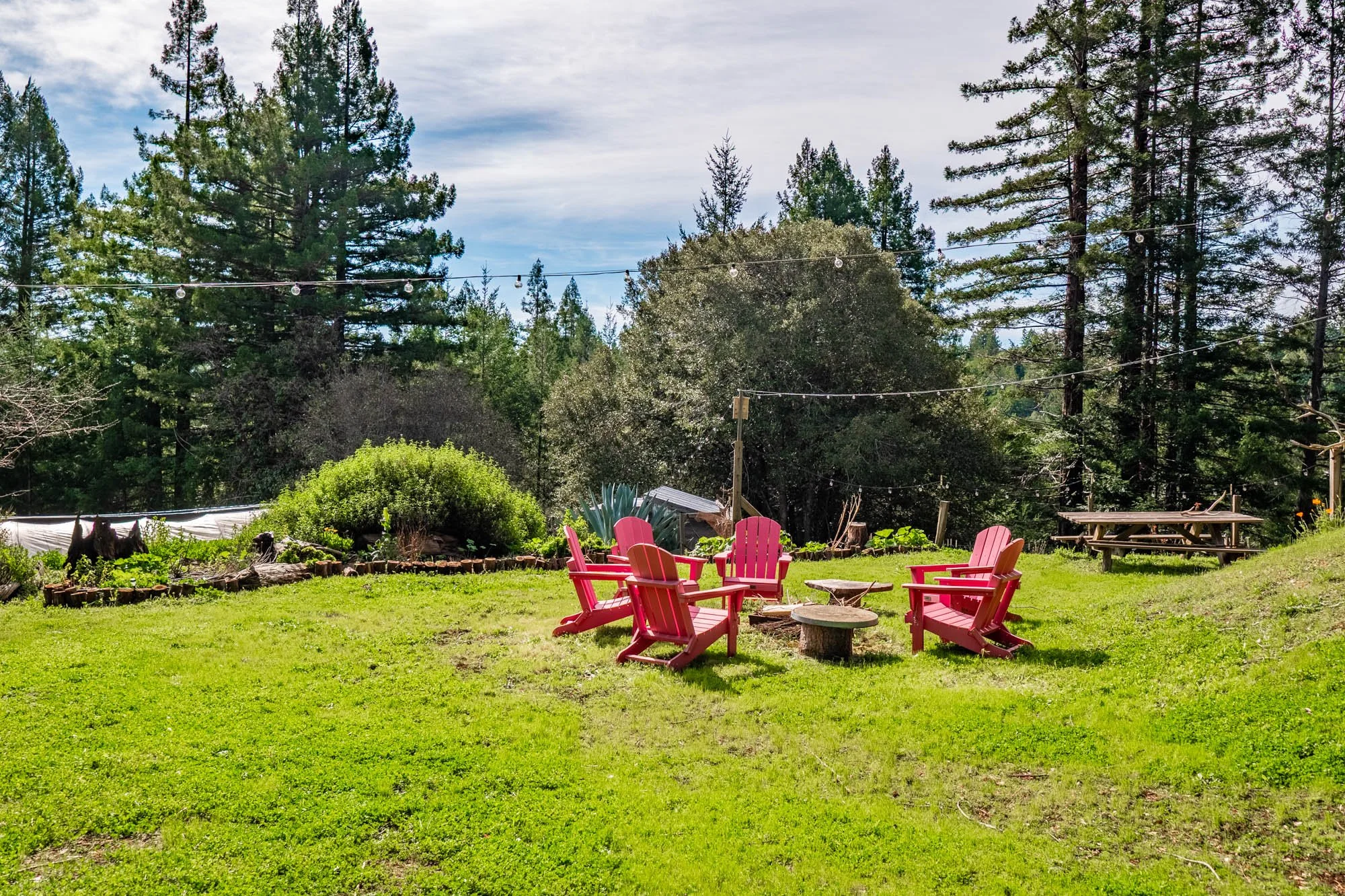 1910 Charoliase Dr-135.jpg