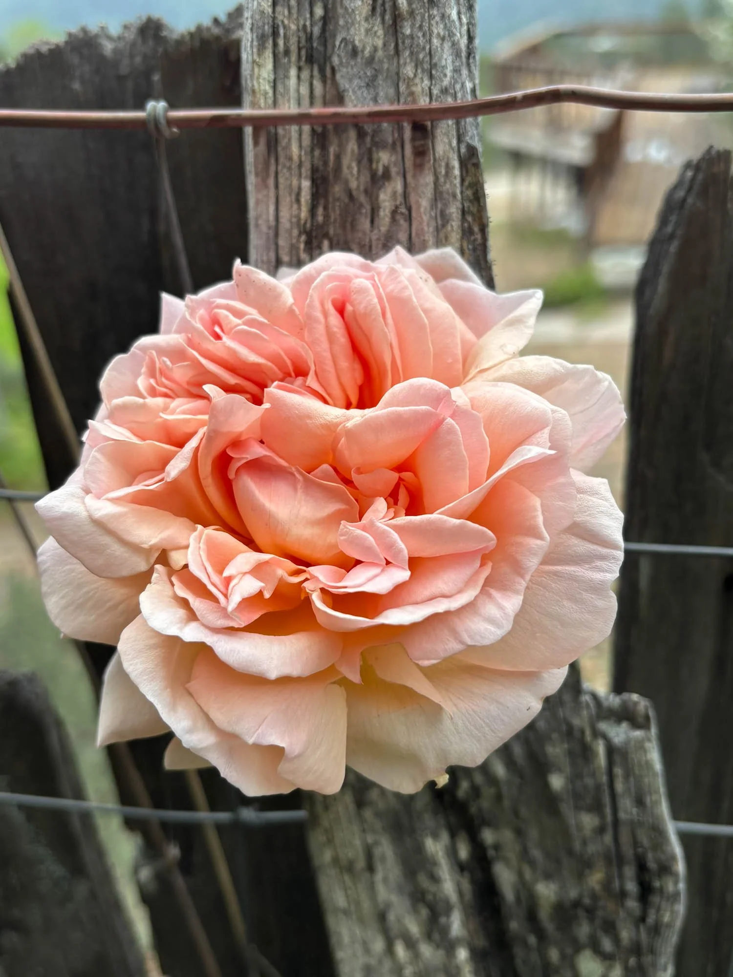 16101 Lost Creek Rd-165.jpg