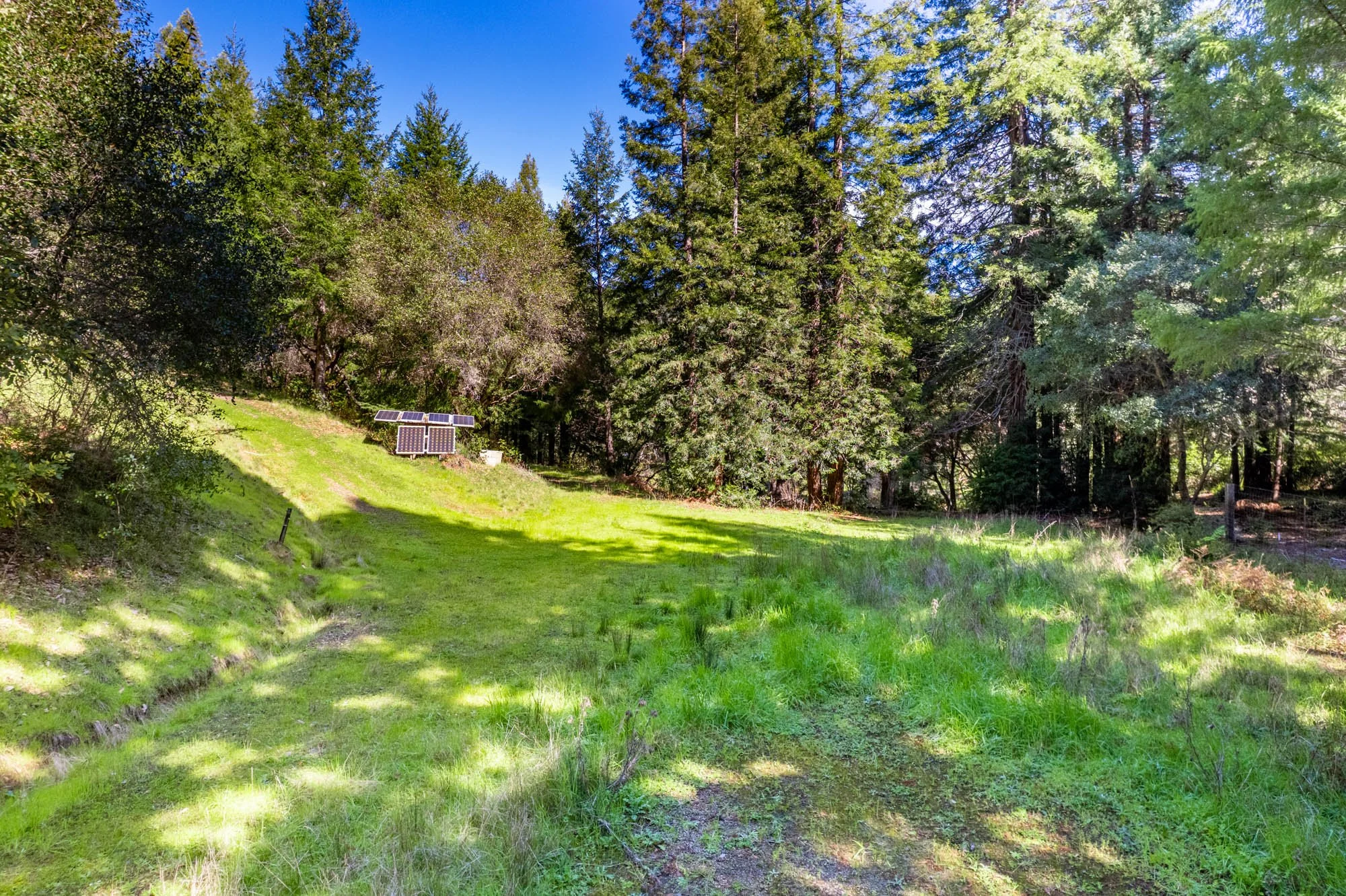 1910 Charoliase Dr-164.jpg