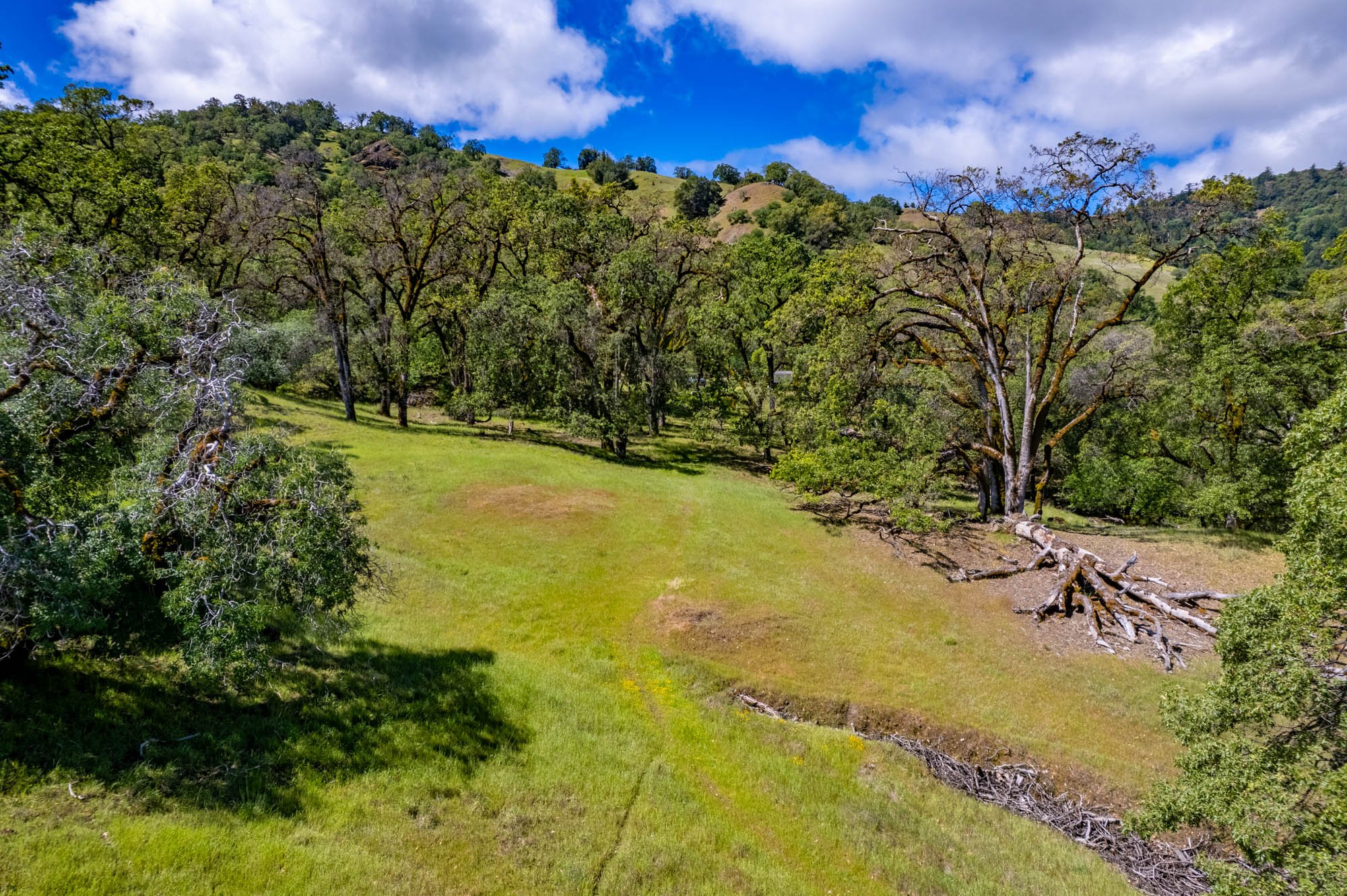 15890 Yorkville Ranch Rd-147.jpg