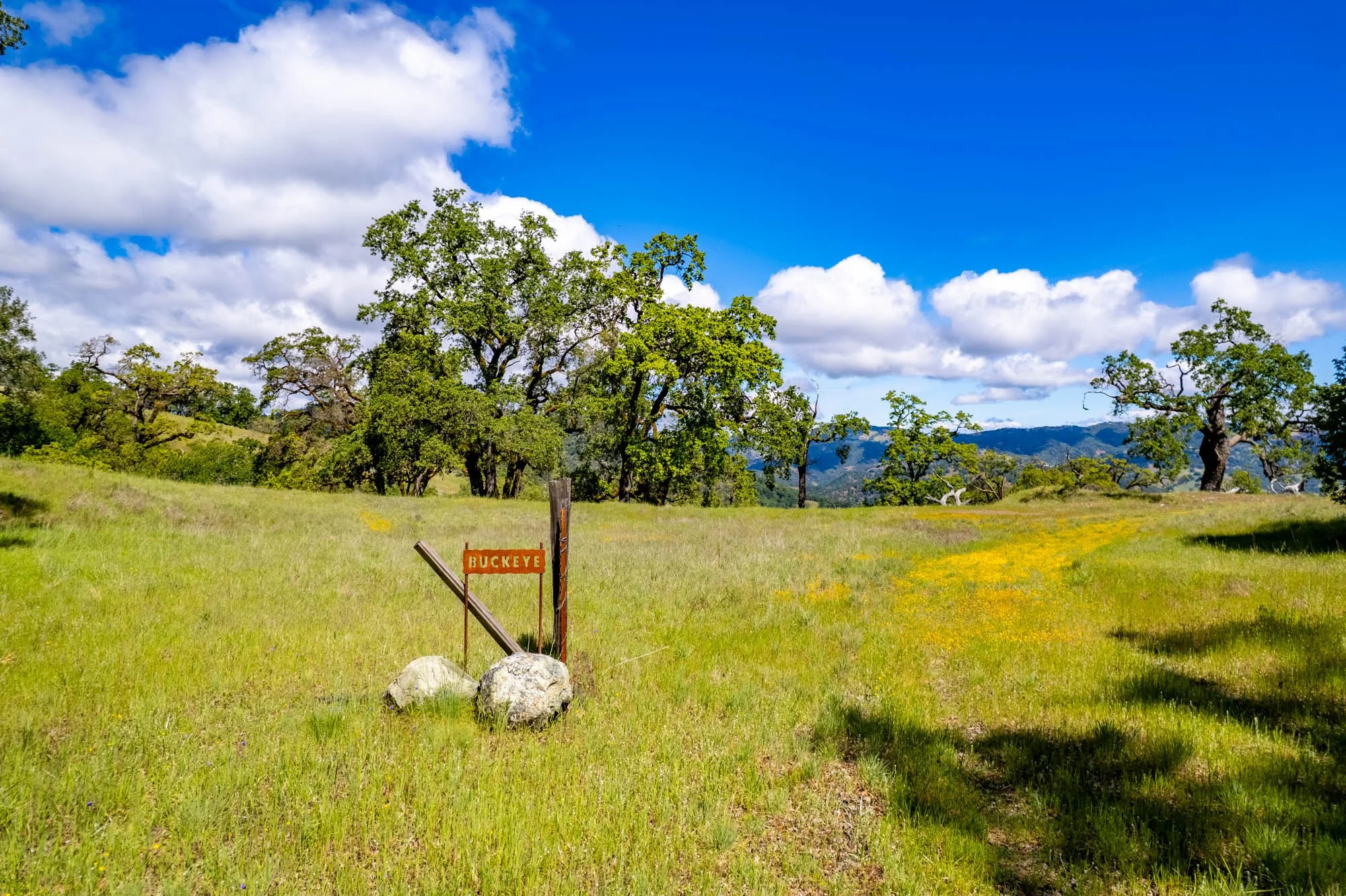 15890 Yorkville Ranch Rd-129.jpg