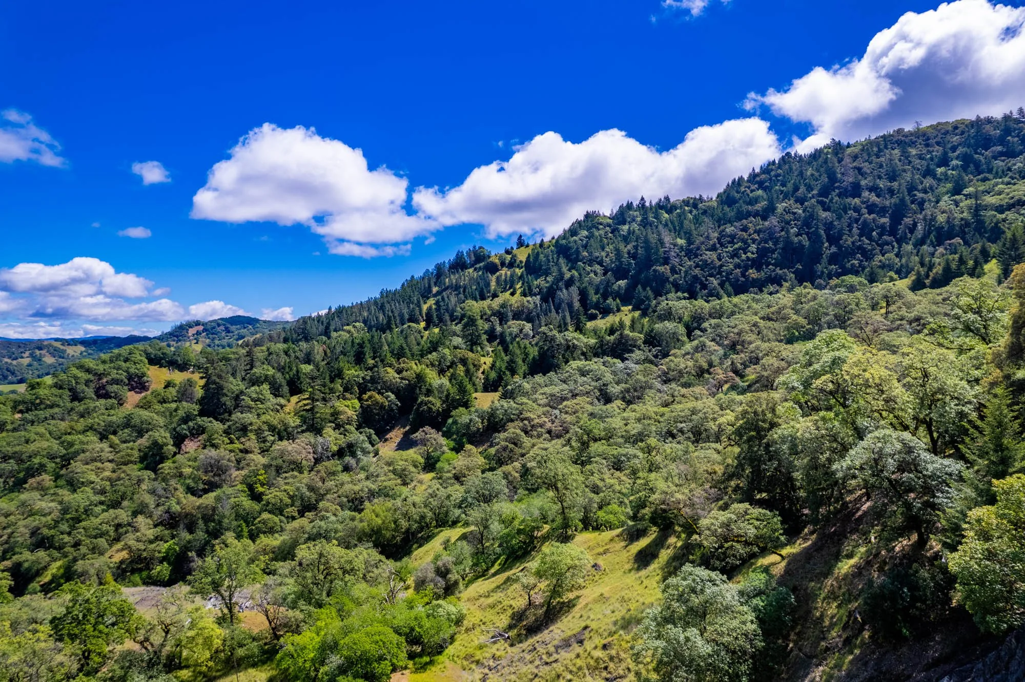 15890 Yorkville Ranch Rd-151.jpg