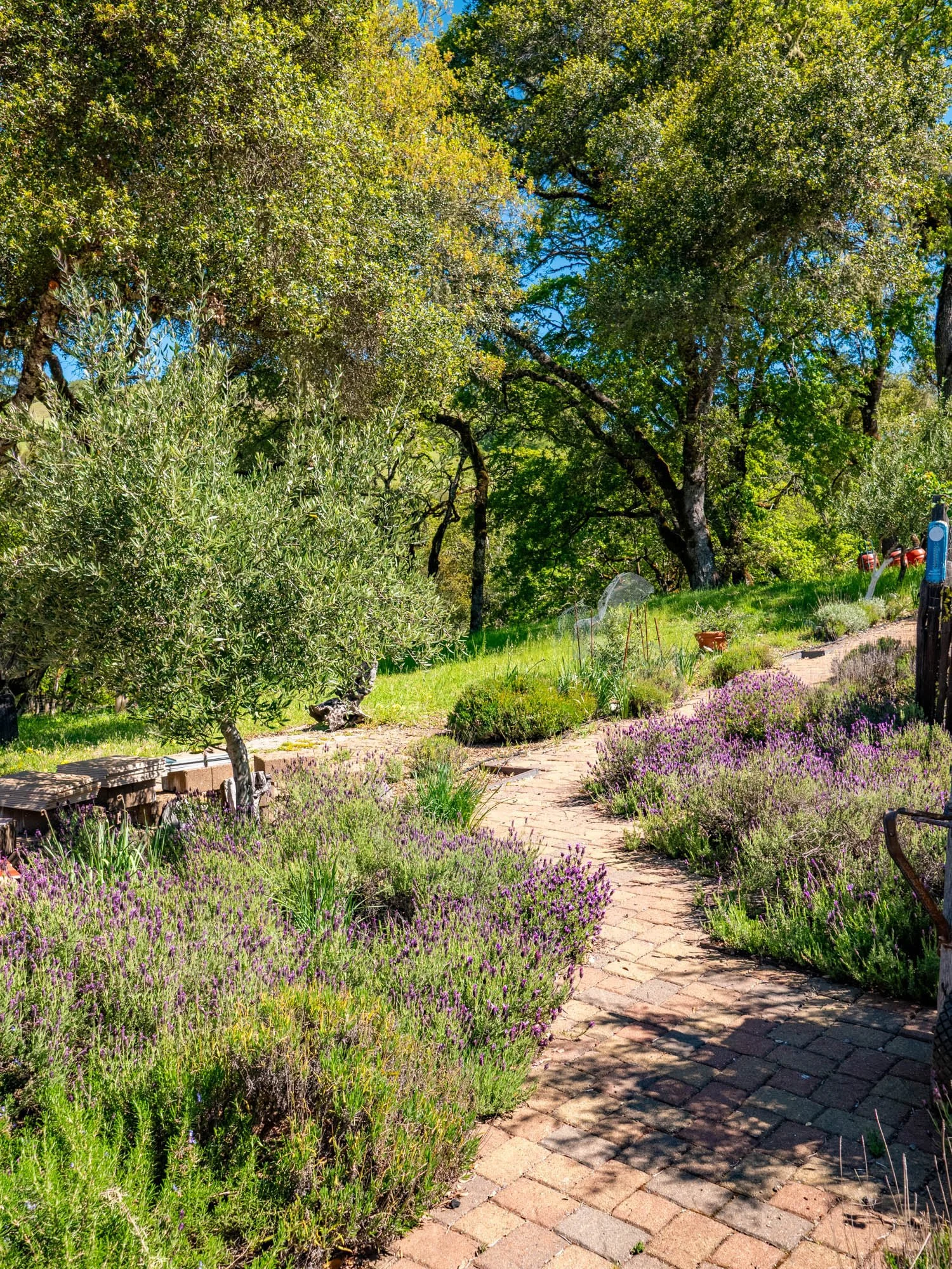 16101 Lost Creek Rd-125.jpg