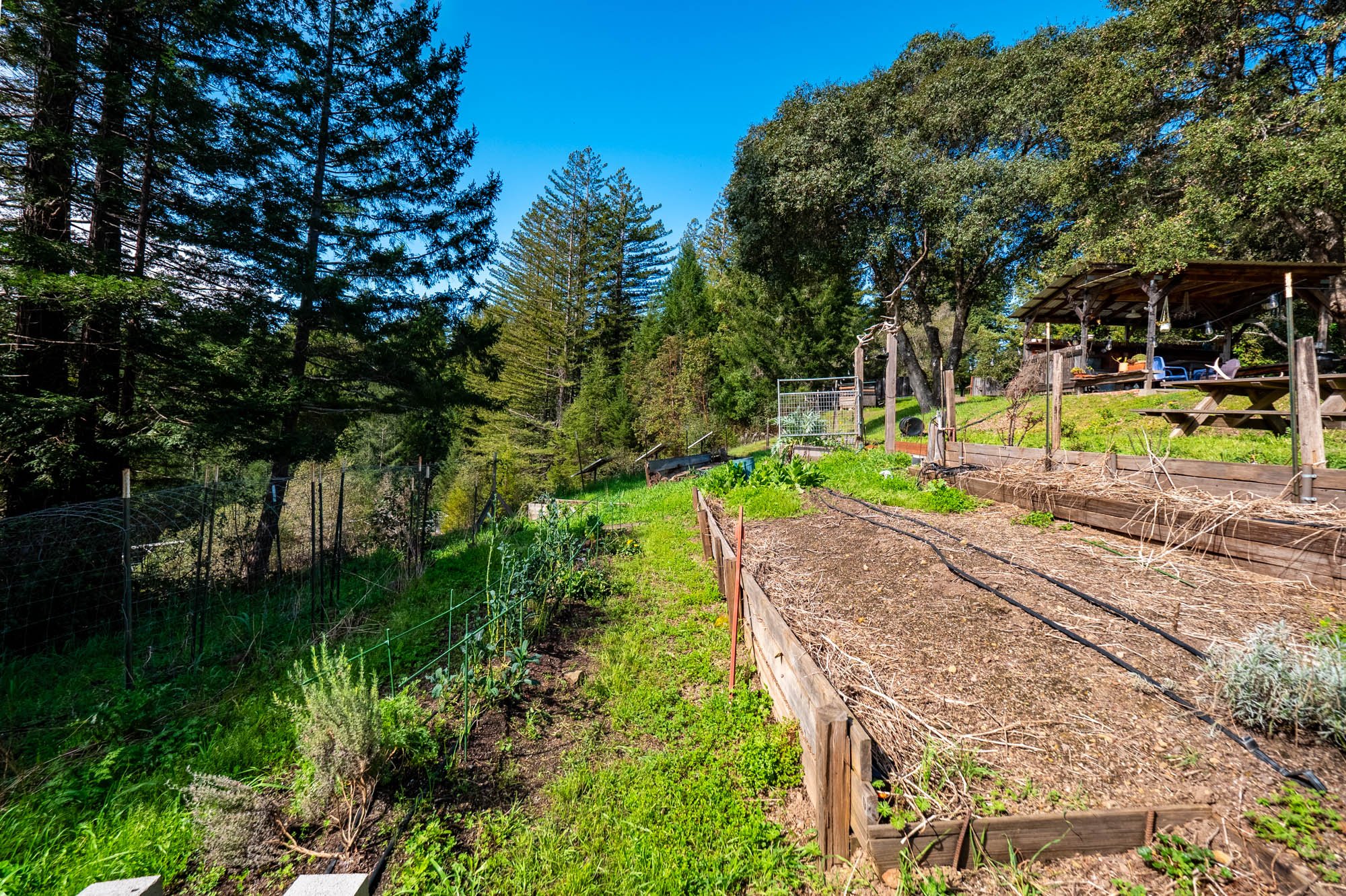 1910 Charoliase Dr-154.jpg