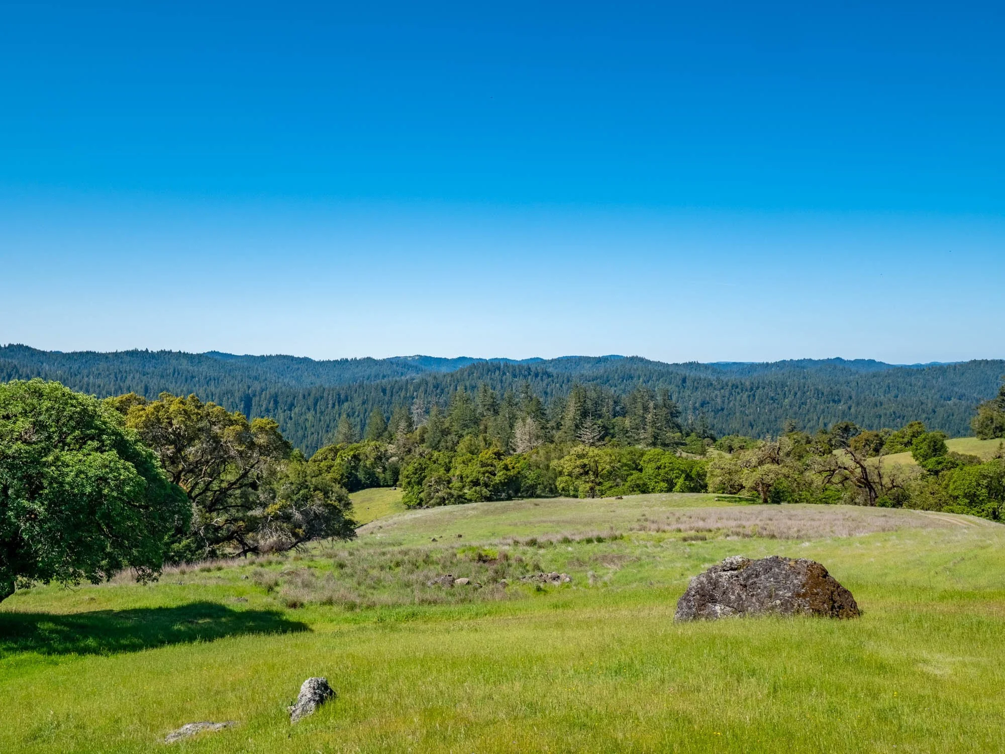 16101 Lost Creek Rd-131.jpg