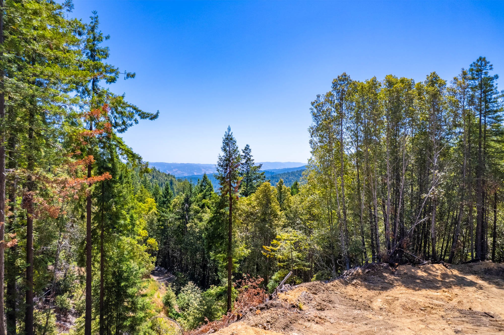 Beautiful views. The private, peaceful setting found on The Redwood Ridge Oasis is unique. It is truly special!