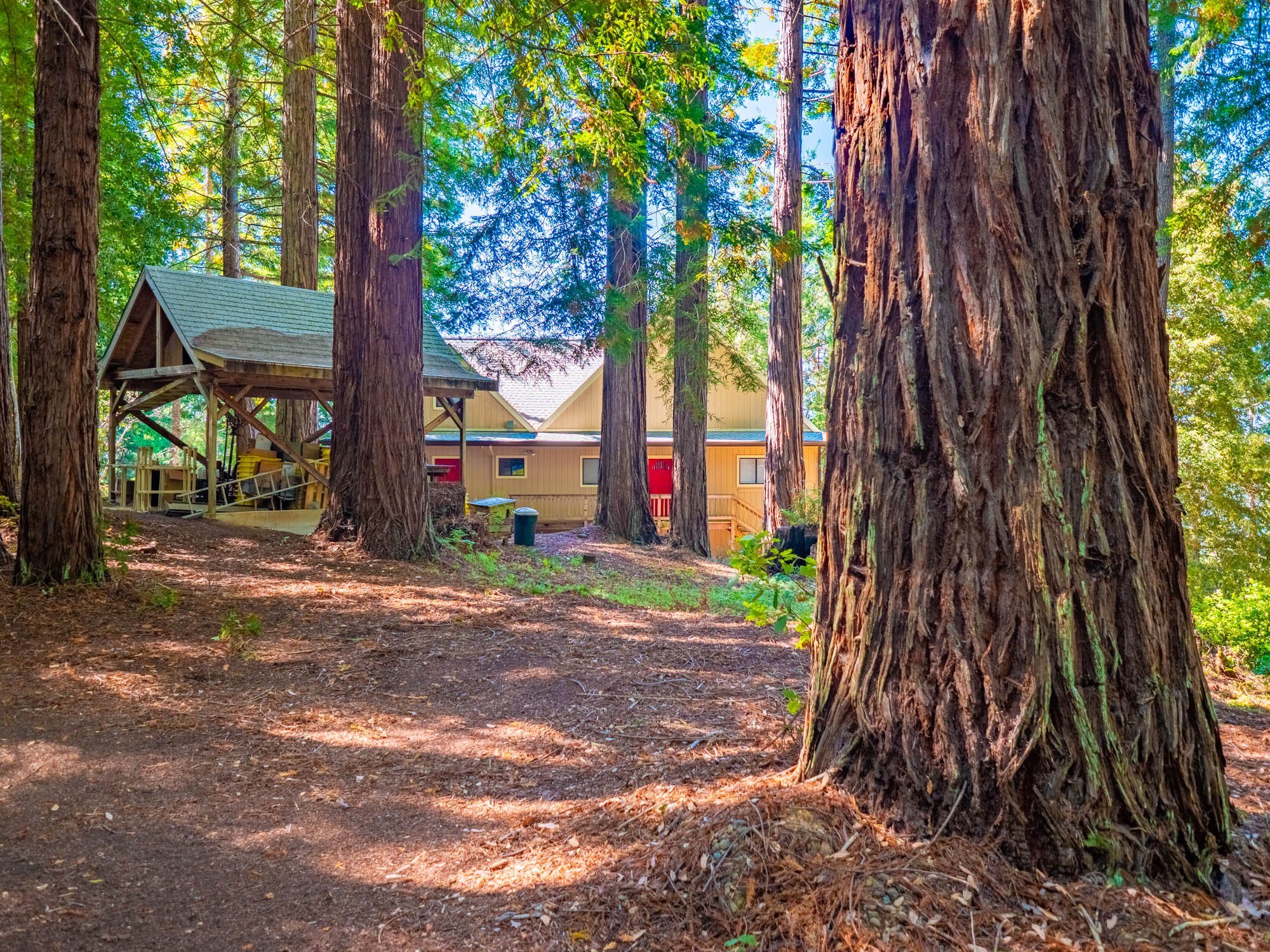 19001 Bald Hills Rd-44.jpg