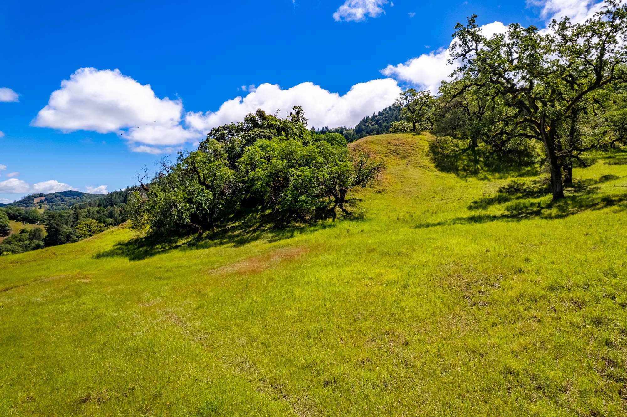 15890 Yorkville Ranch Rd-150.jpg